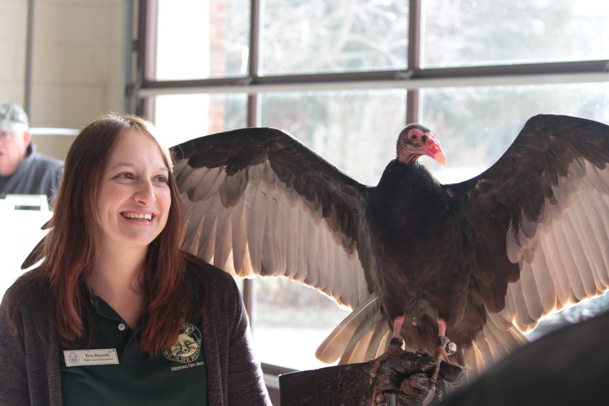 Erin Rounds, director of education at the Woodland Cedar Run Wildlife Refuge, holds a turkey vulture. (Photo/Michael Reina)