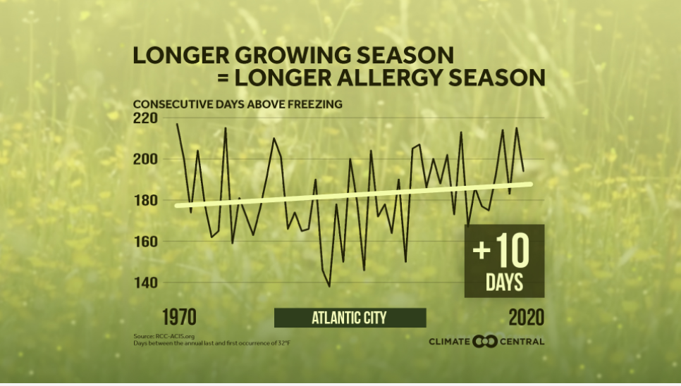Changes in the pollen season in Atlantic City, NJ. Graphic courtesy of Climate Central.
