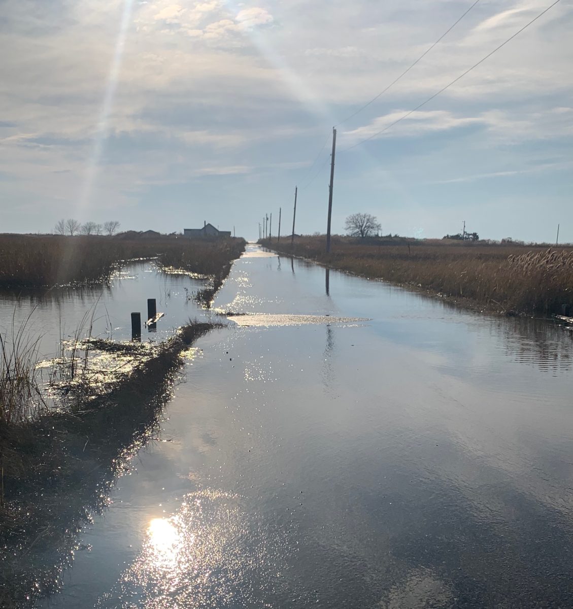 Seabreeze Road, the main street that leads into the community, is covered on either side by salt marshes and the tide slowly floods the road. Photo by Chris Friend. 