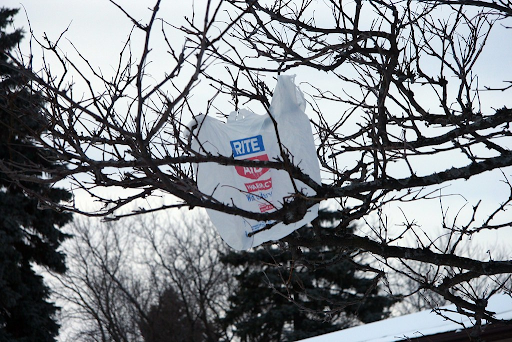 A Rite Aid plastic bag wrapped up in a tree branch. Photo courtesy of Plastic Bags Blow! by katerha is marked with CC BY 2.0.