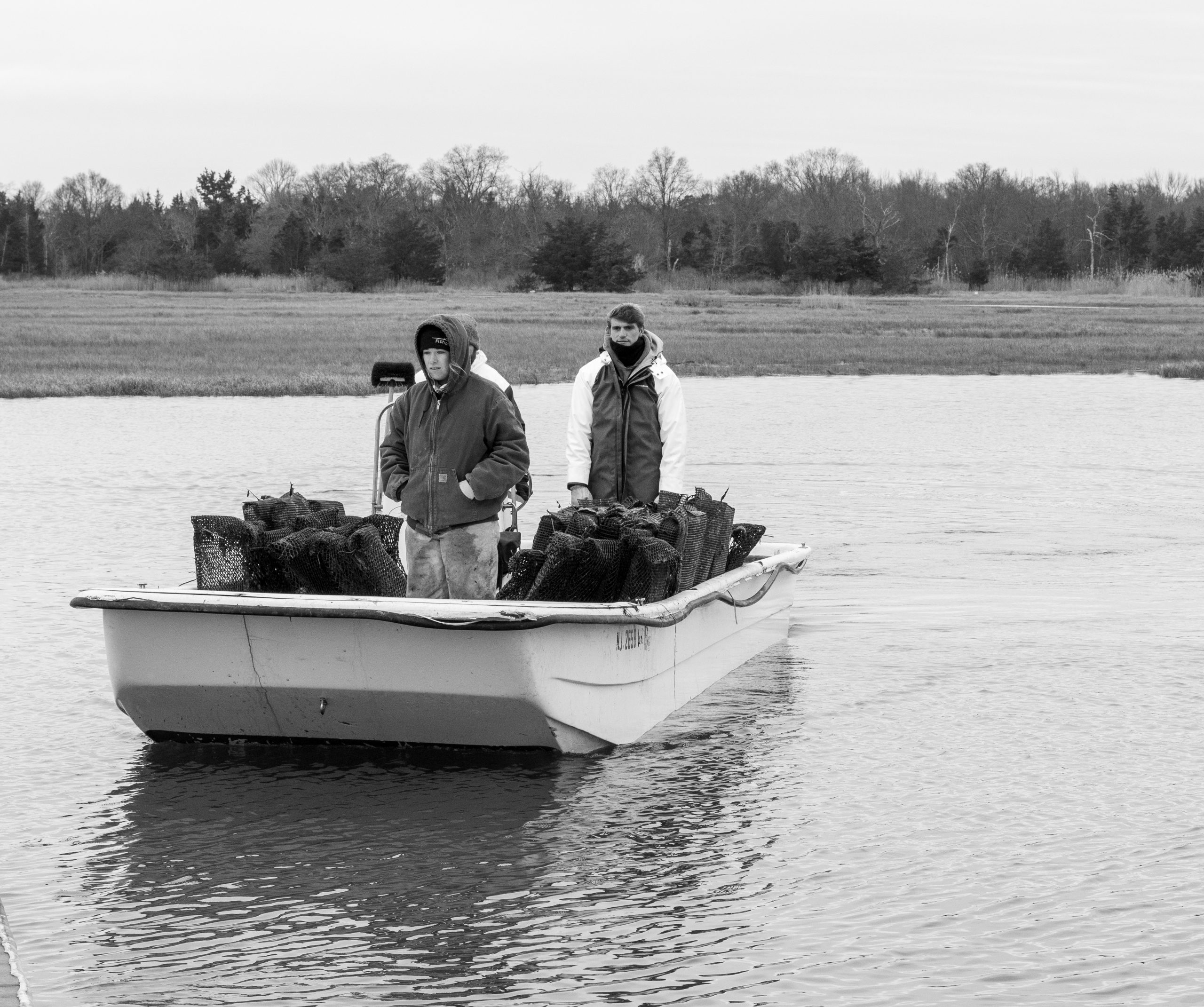 The group has helped revitalize the area’s shellfish population and lobbied to give oyster farmers greater protections under state law.