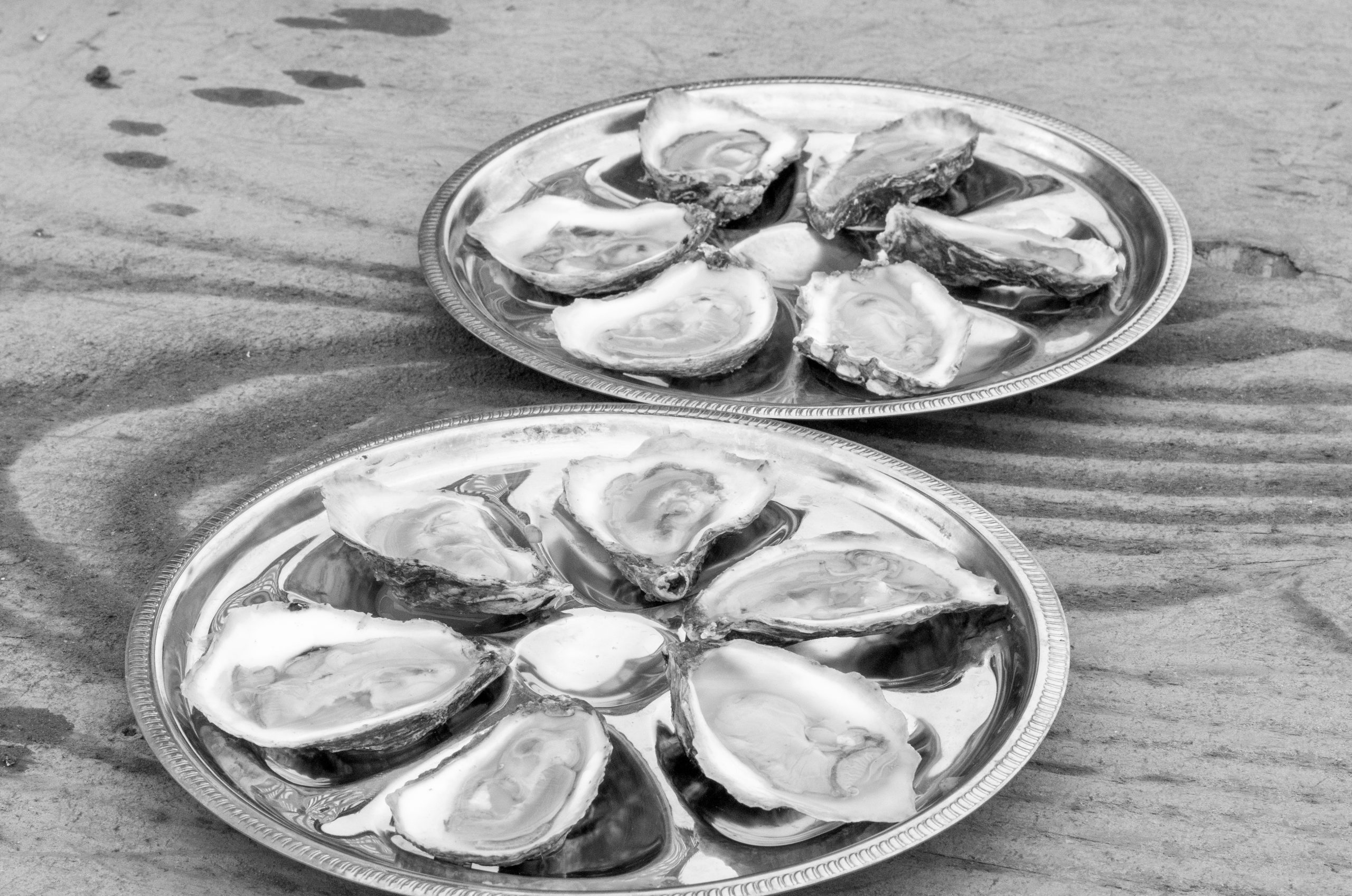 The group has helped revitalize the area’s shellfish population and lobbied to give oyster farmers greater protections under state law.