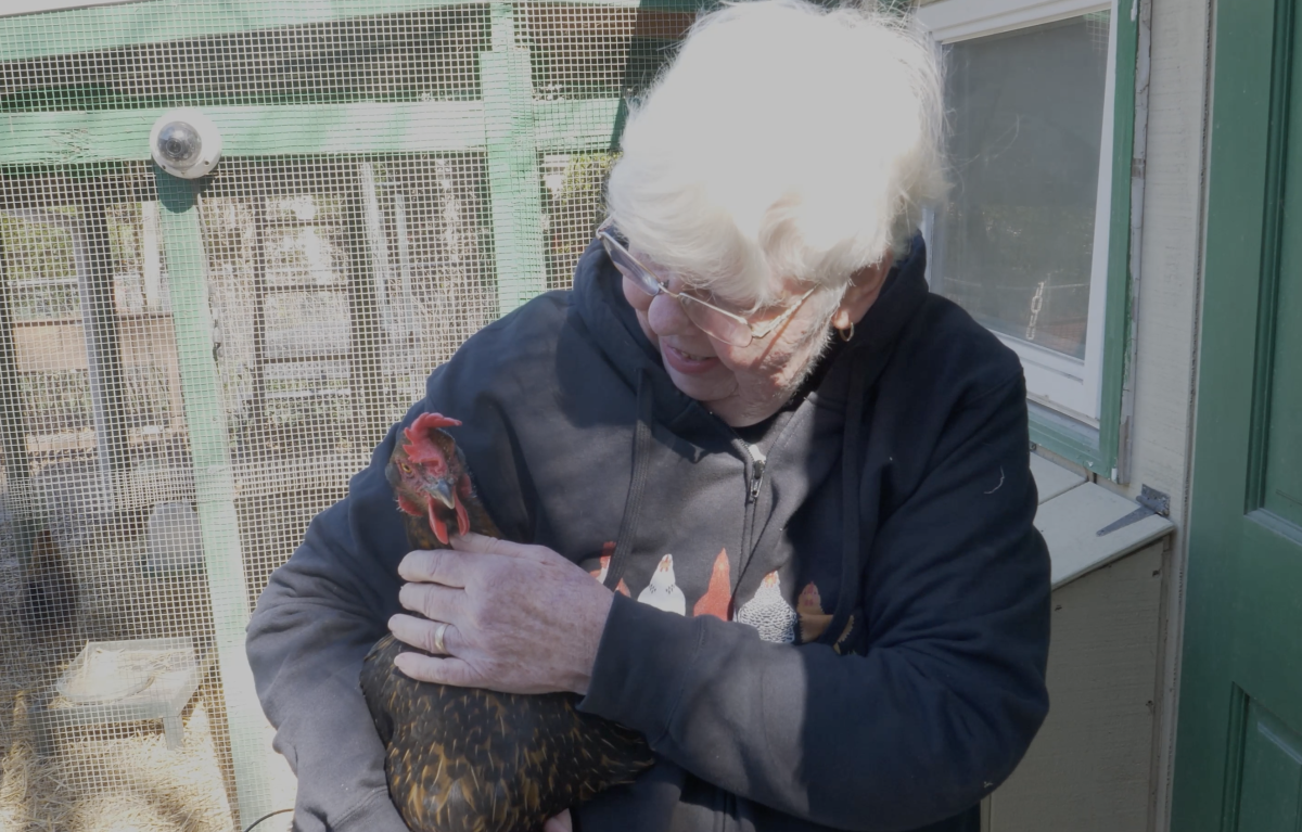The ‘Chicken Lady of South Jersey’ wants to bring backyard chickens to your town