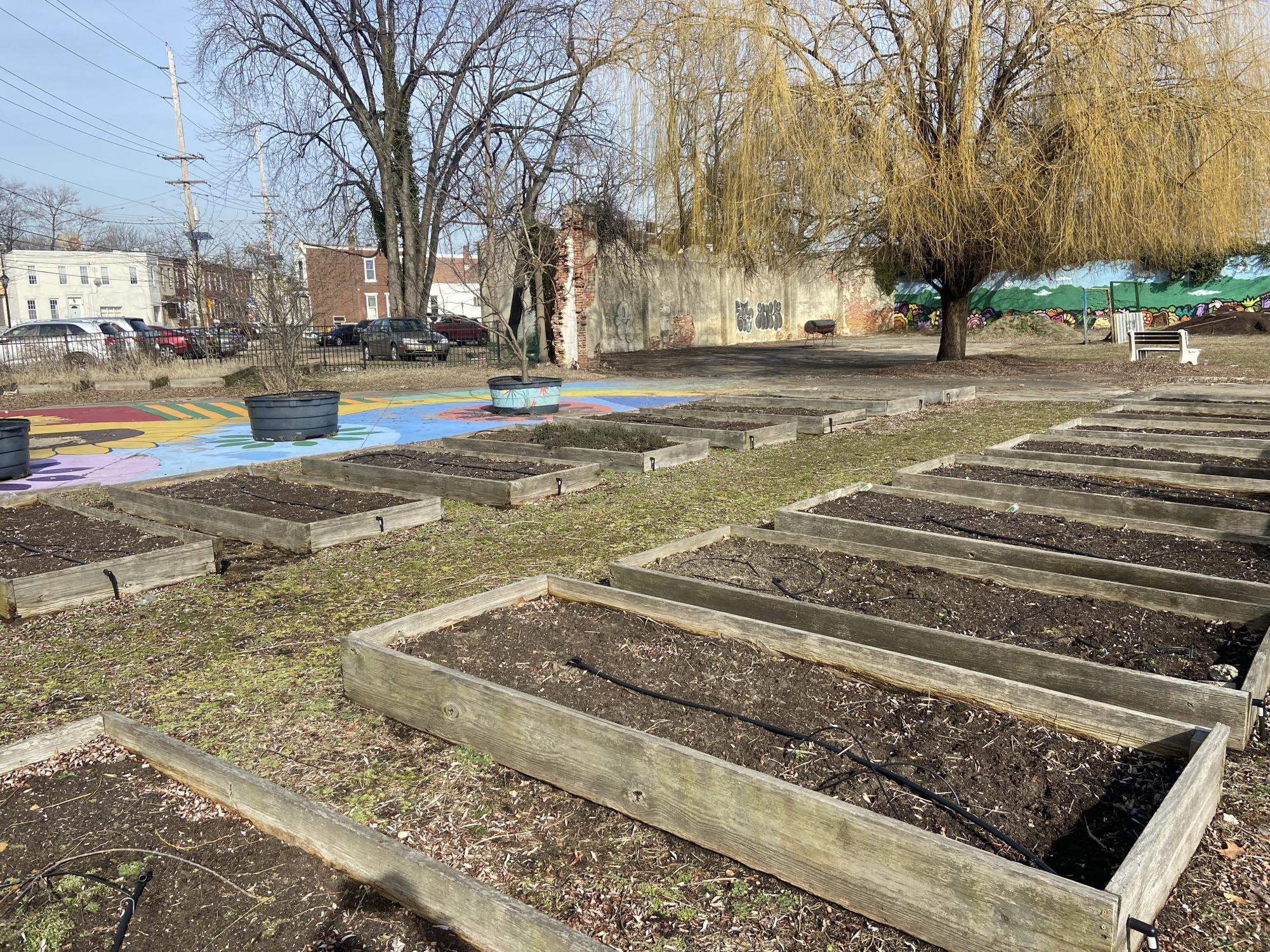 Access to water is a barrier for community gardens in the city. Local groups, professors and students are working together to find solutions and to help the gardens - and Camden - bloom.