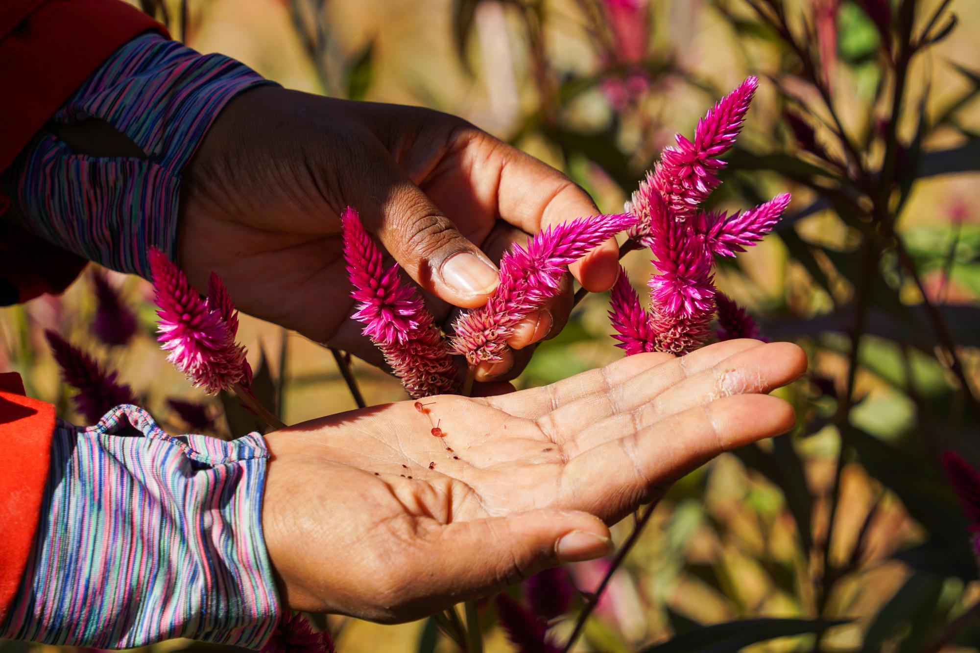 Tomia MacQueen and her family's 42-acre family-owned farm produces organically and ethically raised food with an emphasis on community building.