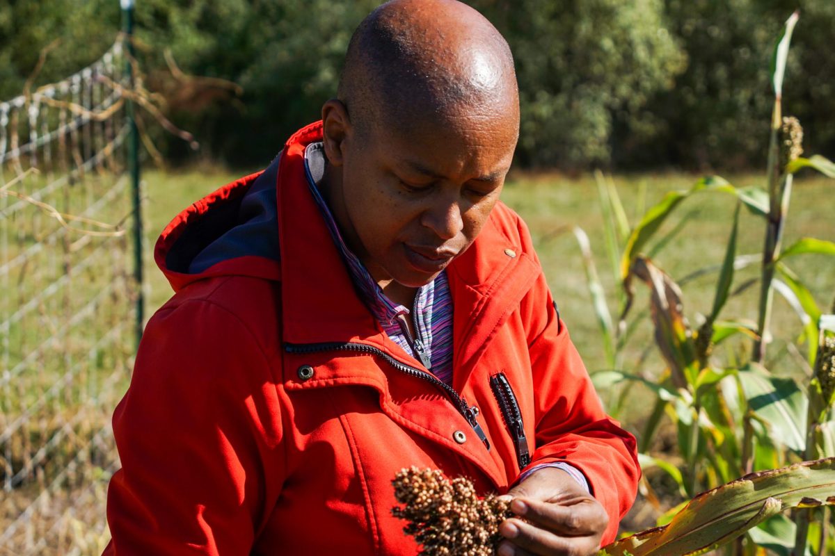 Photo Essay: Wildflower Farm blazes trail for Black-owned sustainable farms