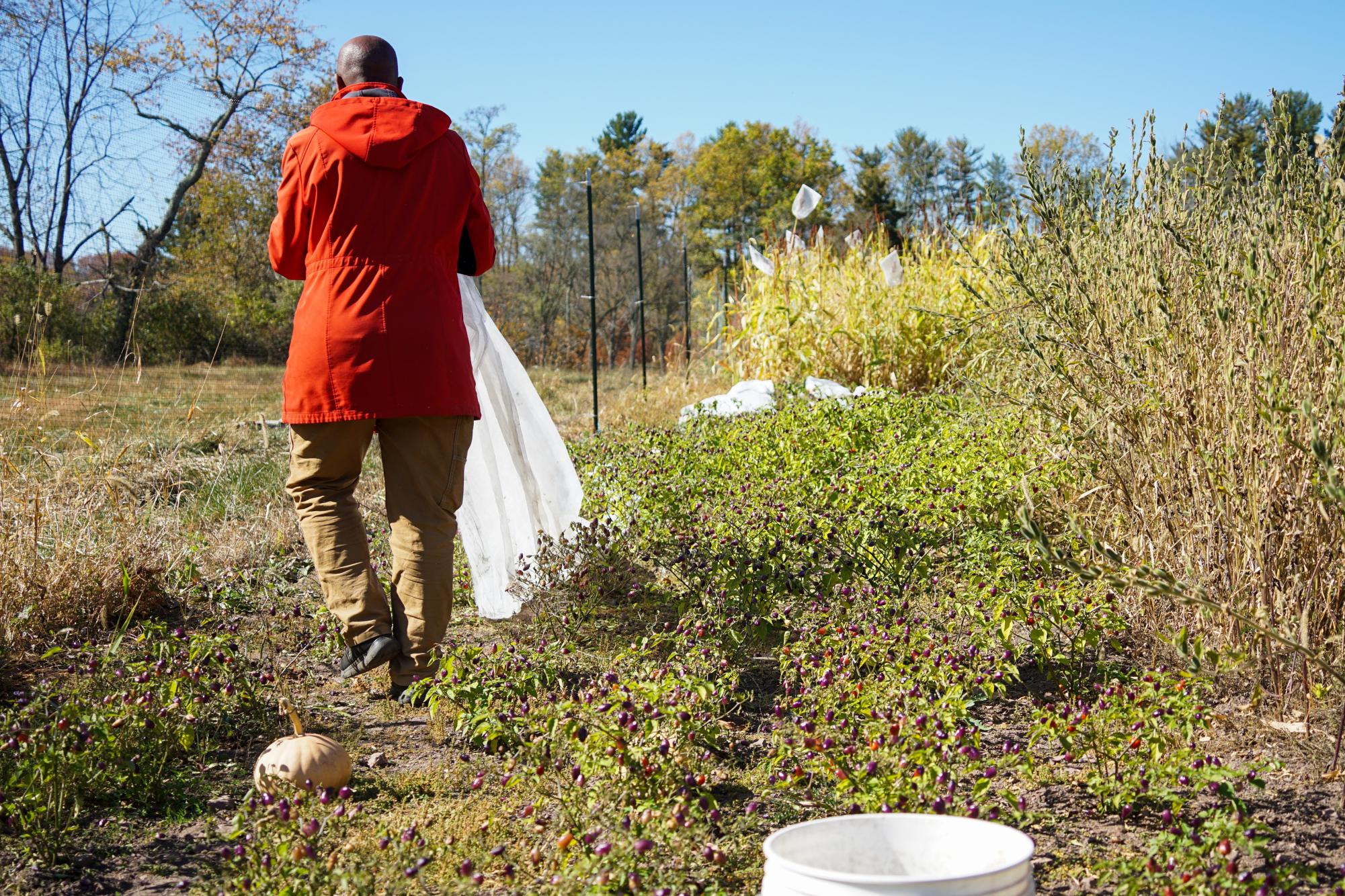 Tomia MacQueen and her family's 42-acre family-owned farm produces organically and ethically raised food with an emphasis on community building.