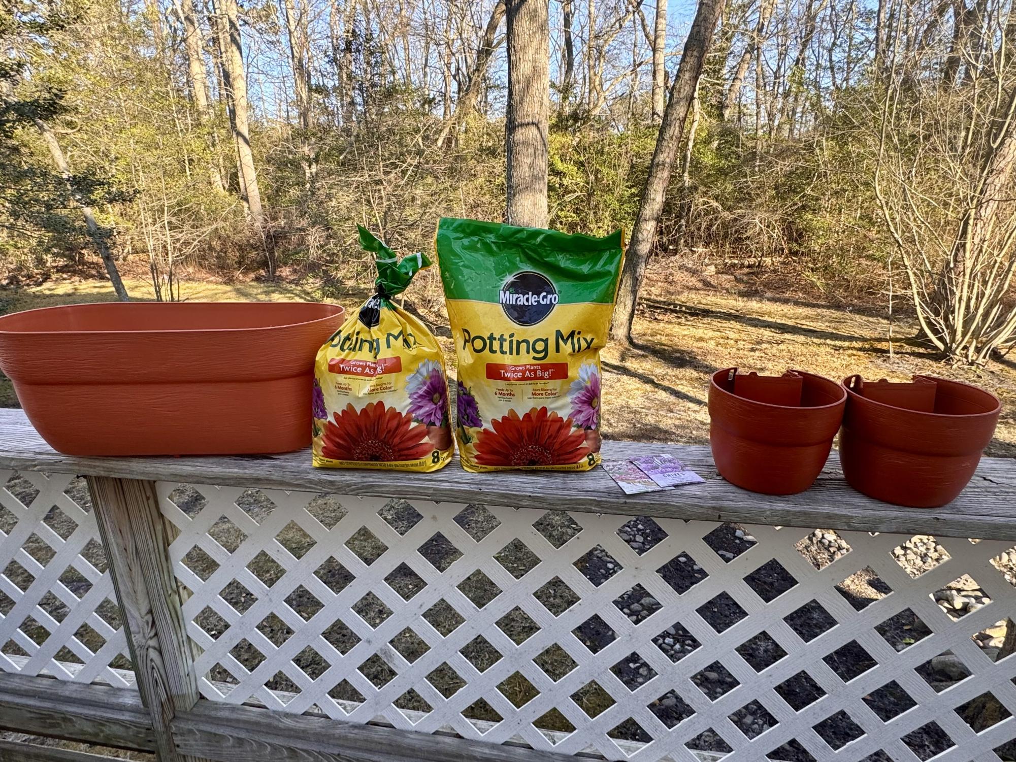 DIY: Growing a native pollinator garden