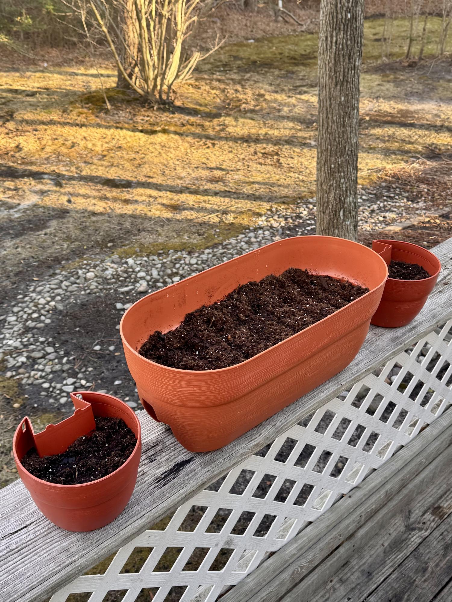 DIY: Growing a native pollinator garden