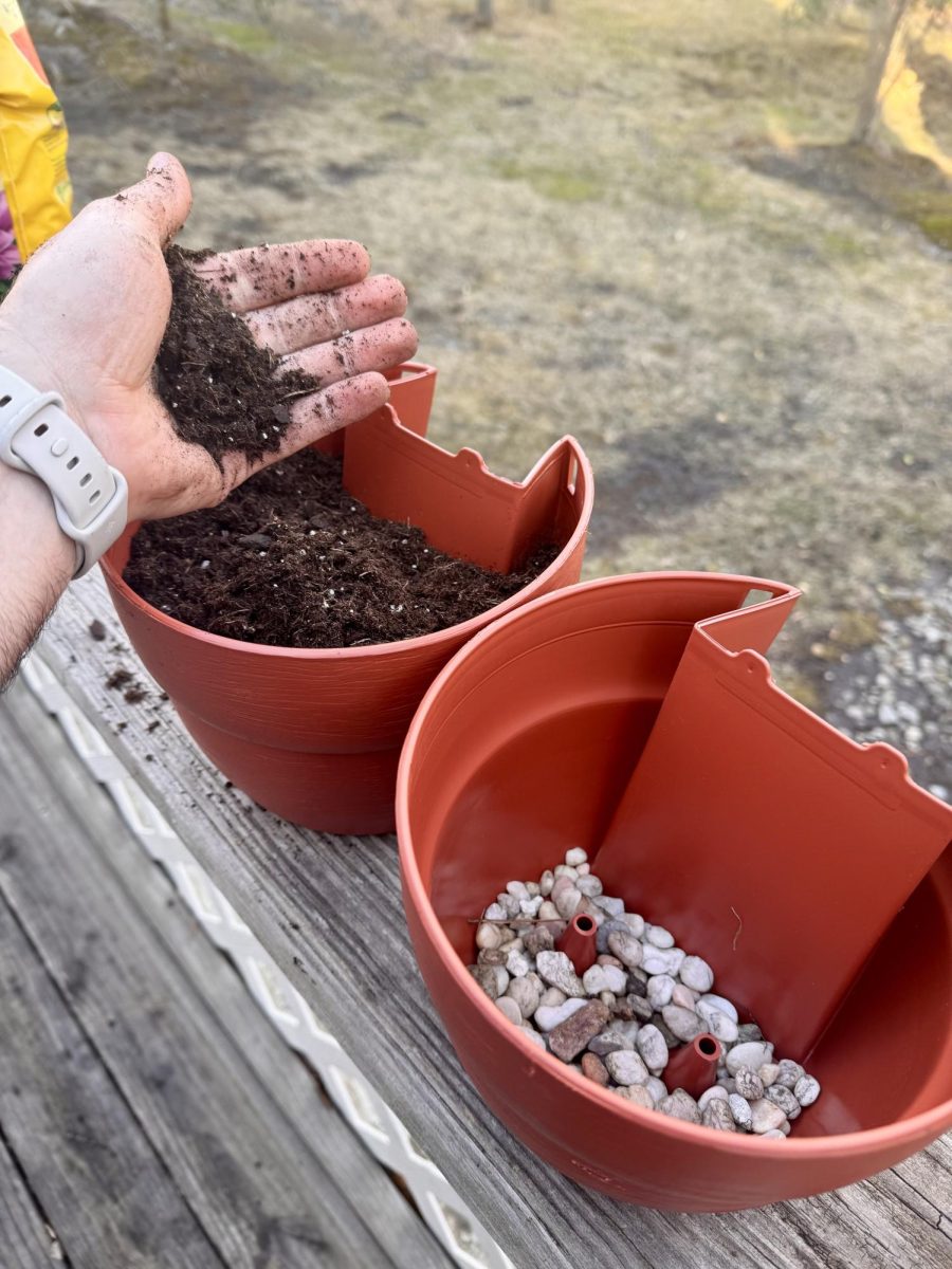 Here are quick and easy steps to creating your own pollinator garden. (Shayne Crowley)