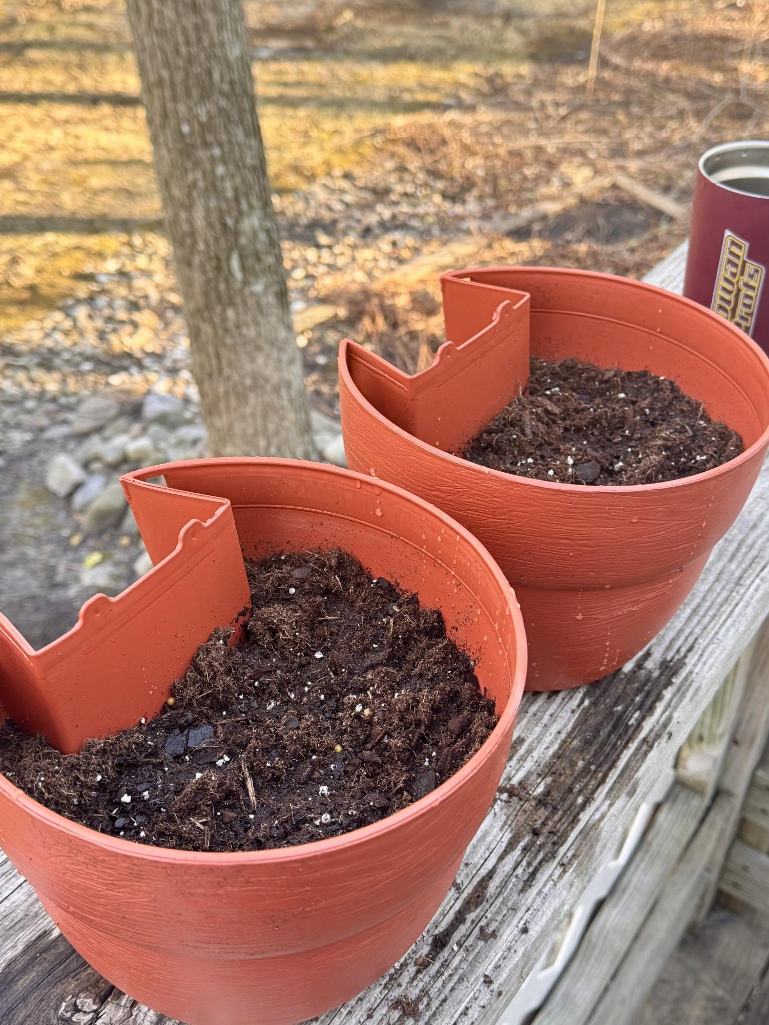 DIY: Growing a native pollinator garden