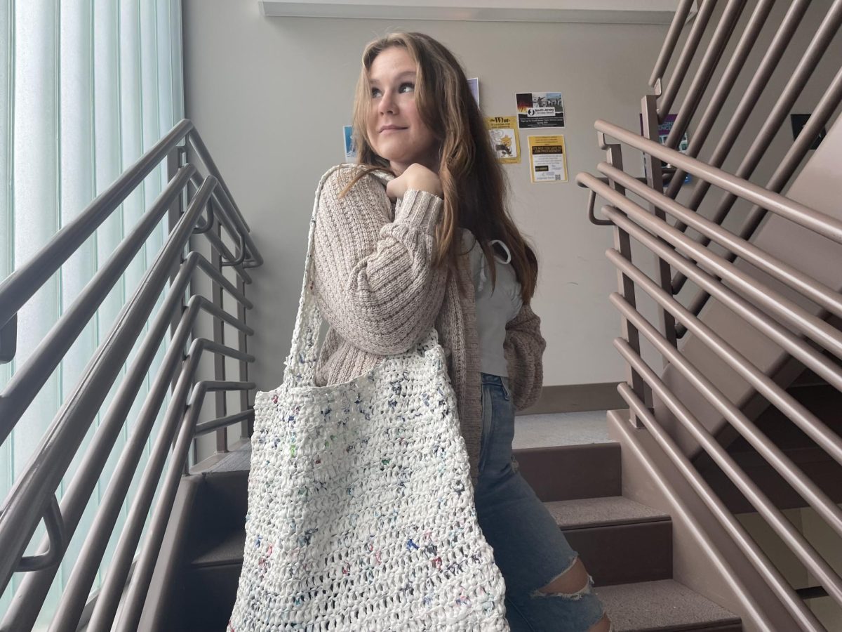 Plastic bags that once held groceries and other items can be reused and turned into beautiful objects like this handbag. (Rachel Amarille)