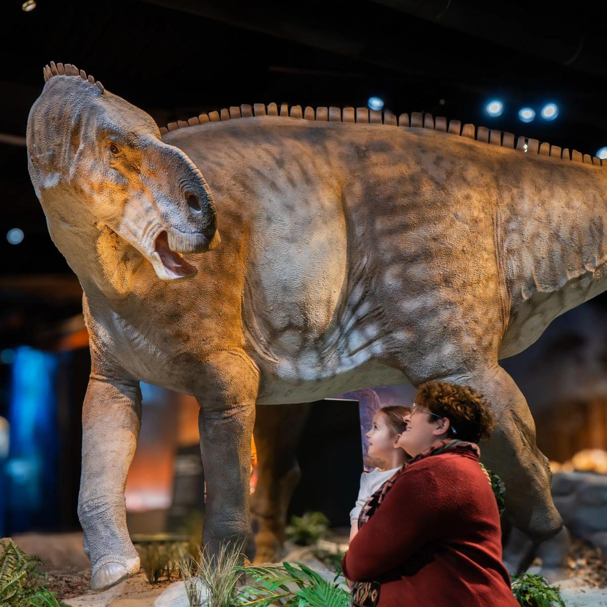 Photo via the Edelman Fossil Park & Museum