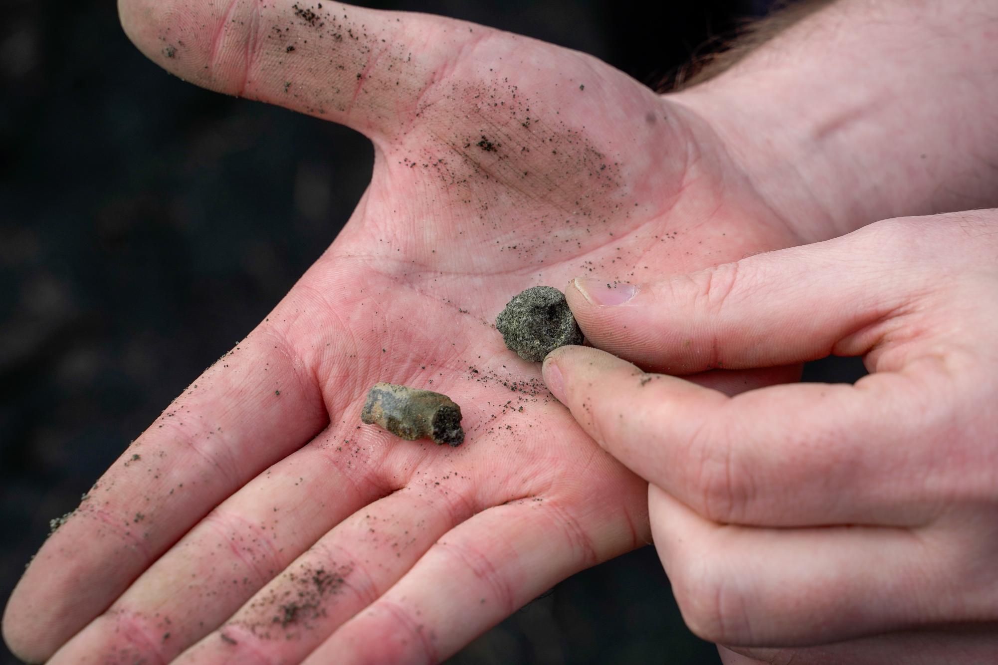 65-million-year-old fossils and a brand new net-zero energy building