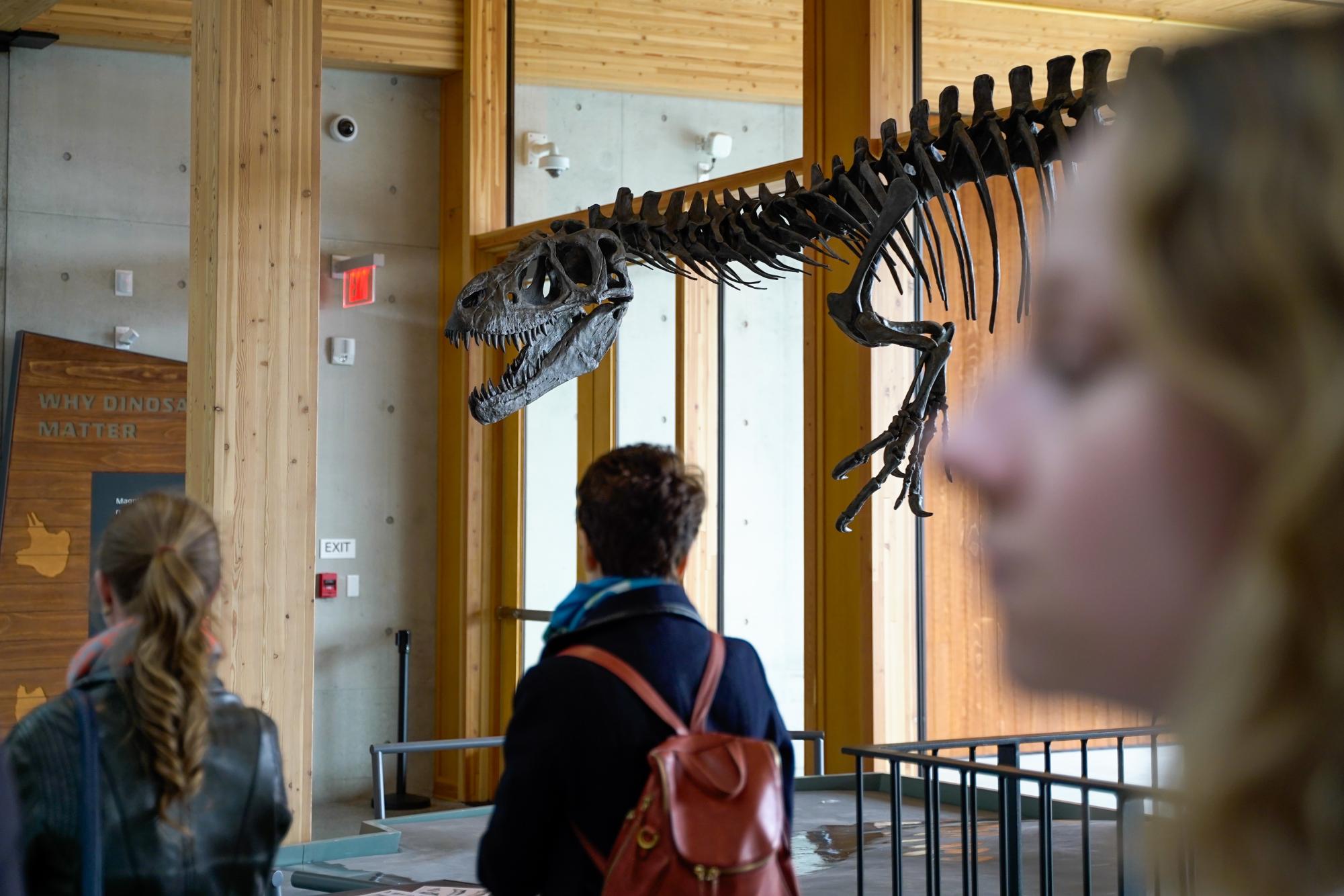 65-million-year-old fossils and a brand new net-zero energy building