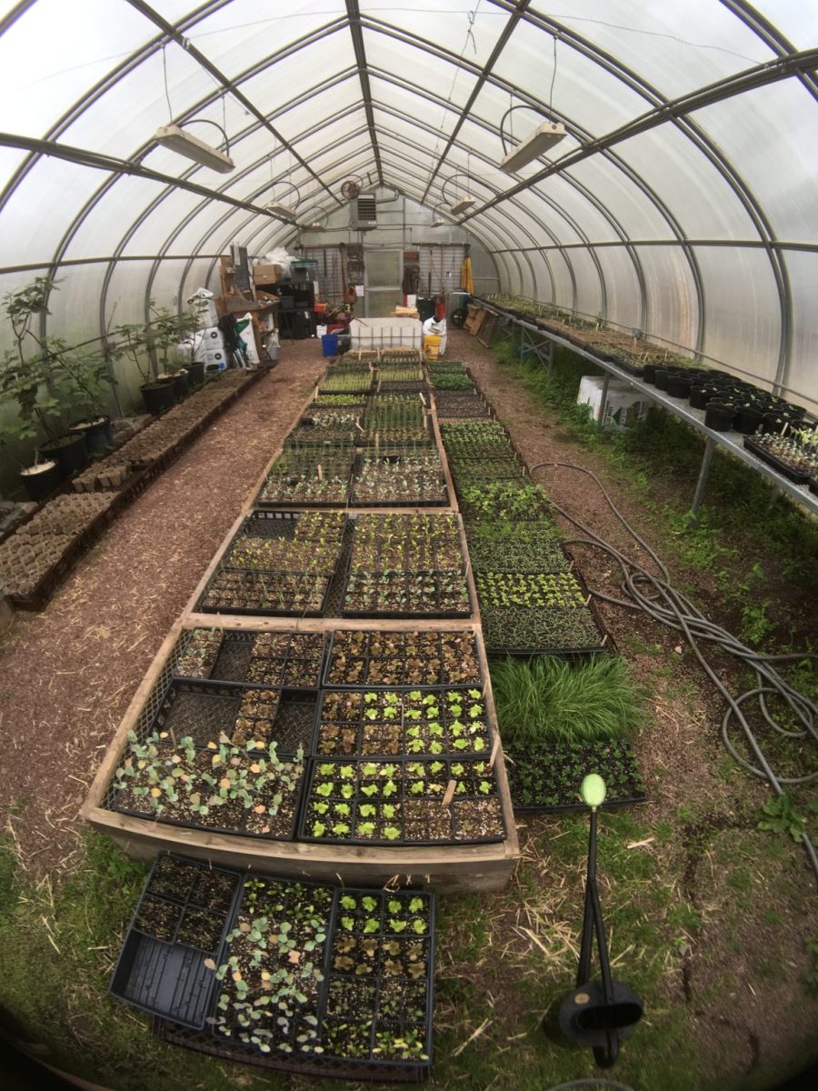 CFET’s large greenhouse is where they grow all their seedlings for its outside gardens. (Photo courtesy of CFET website)
