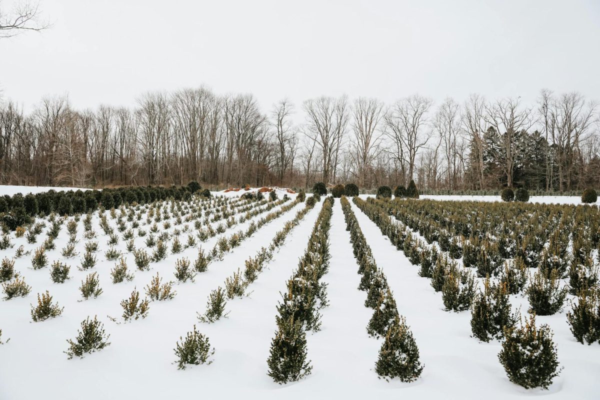 A field of greenery is covered with a wintery mix in Mendham, NJ.(Photo by Lalada from Pexels)
