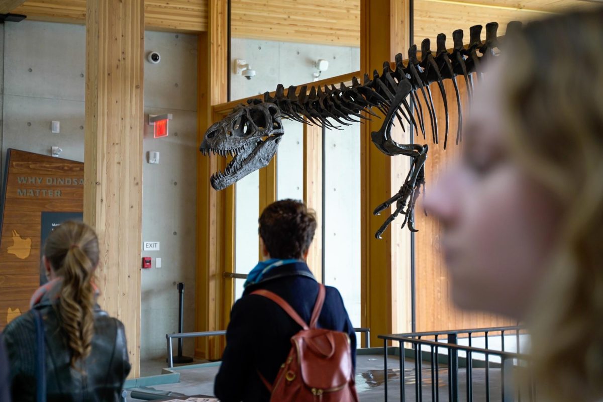 The Edelman Fossil Park & Museum’s Quarry of Rowan University opened its doors in March. Quarry digs at the park are now open. (Gavin Schweiger)