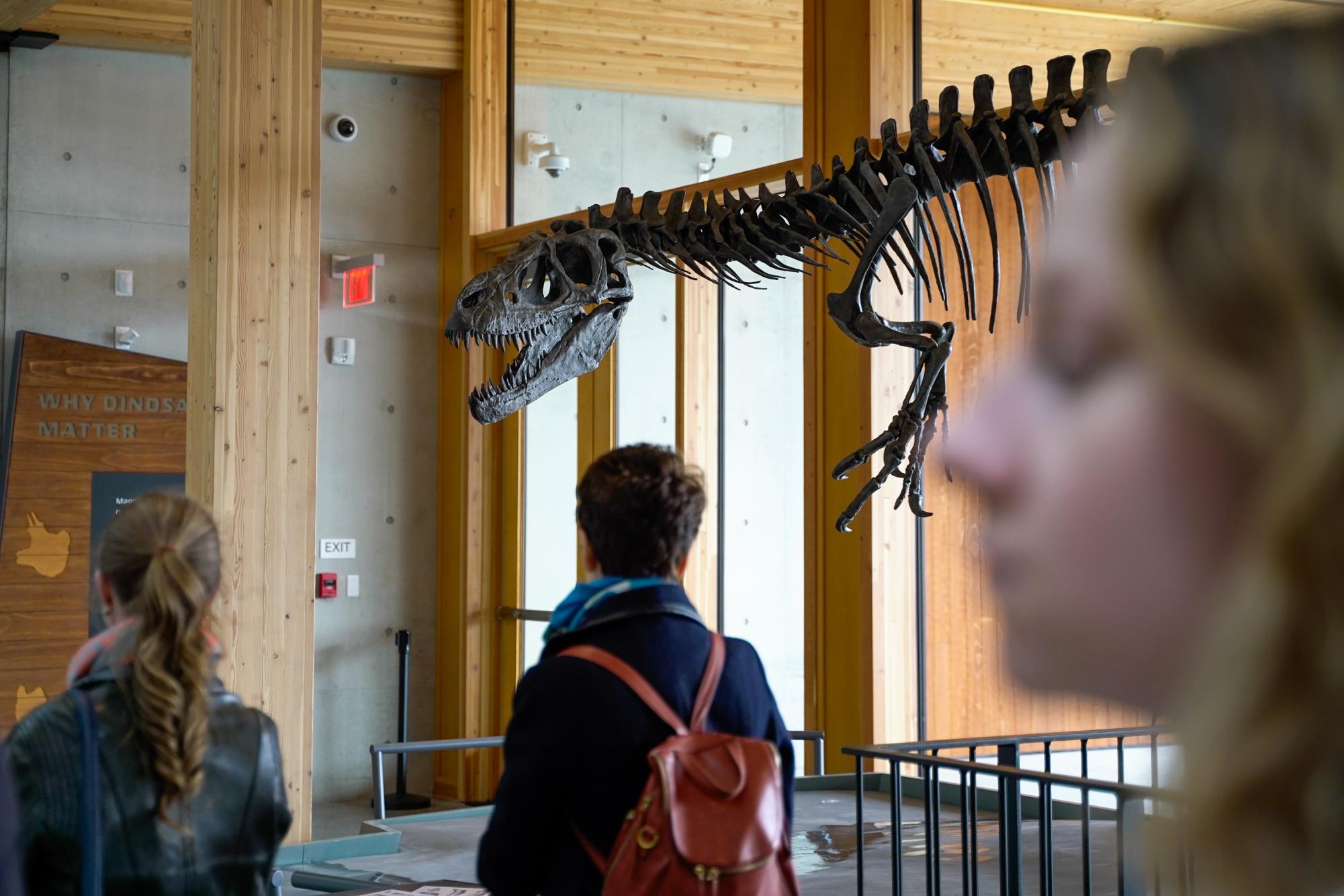 The Edelman Fossil Park & Museum’s Quarry of Rowan University opened its doors in March. Quarry digs at the park are now open. (Gavin Schweiger)