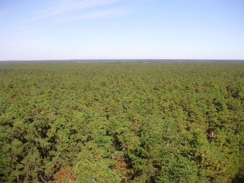 "View north from the top of the Apple Pie Hill fire tower" by Famartin, licensed under CC BY 3.0.