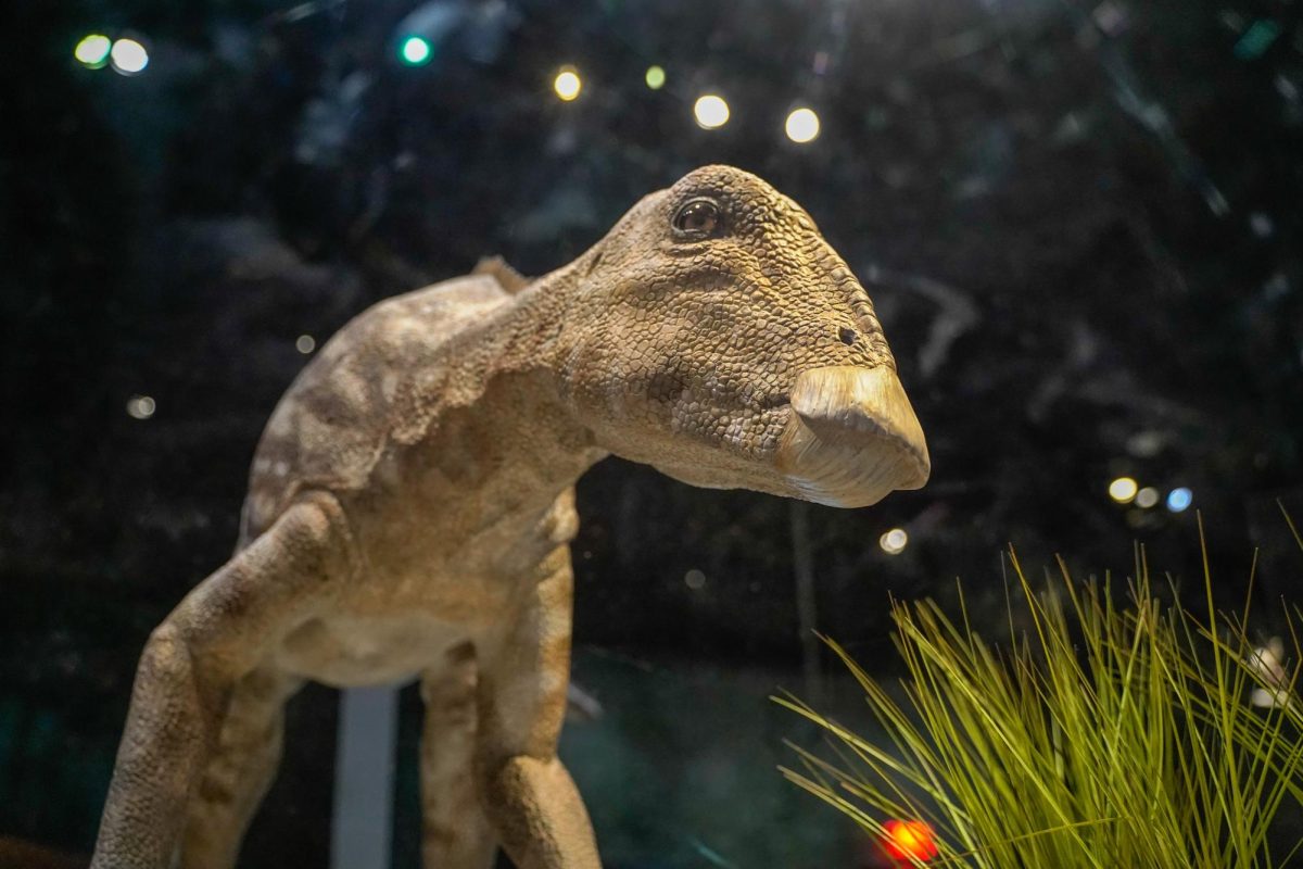 "Sixty-six million years ago, an asteroid struck the Earth wiping out the dinosaurs and 75% of species. The fossil park’s four-acre fossil quarry, set into a 123-acre property, is providing scientists with the best view ever into this pivotal, calamitous event that ended an Earth era, paving the way for the modern world as we know it:" Website for the Edelman Fossil Park & Museum. (Photo and video by Gavin Schweiger)