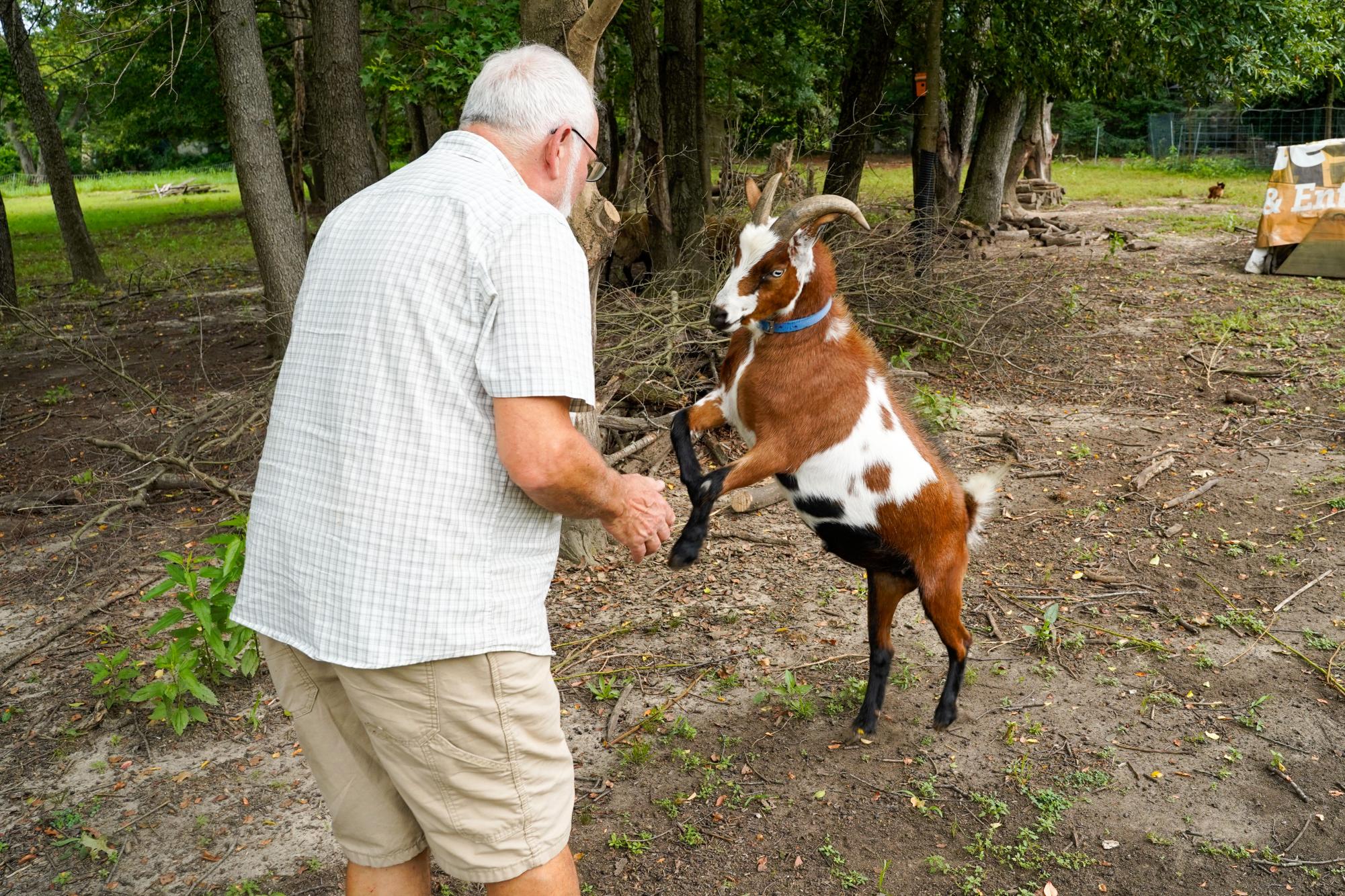 The program Worldwide Opportunities on Organic Farms (WWOOF) helps connect volunteers with local farmers.