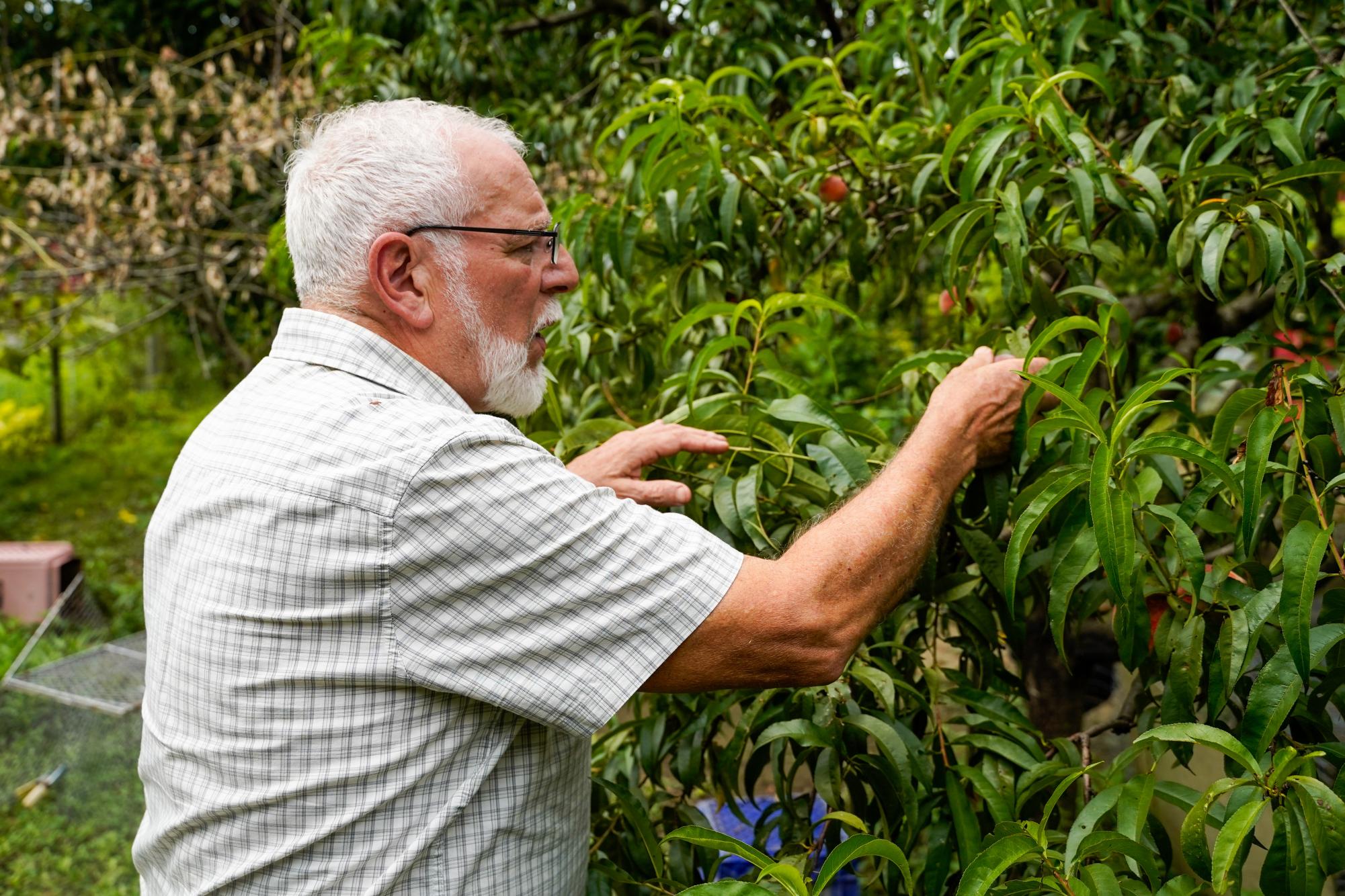The program Worldwide Opportunities on Organic Farms (WWOOF) helps connect volunteers with local farmers.