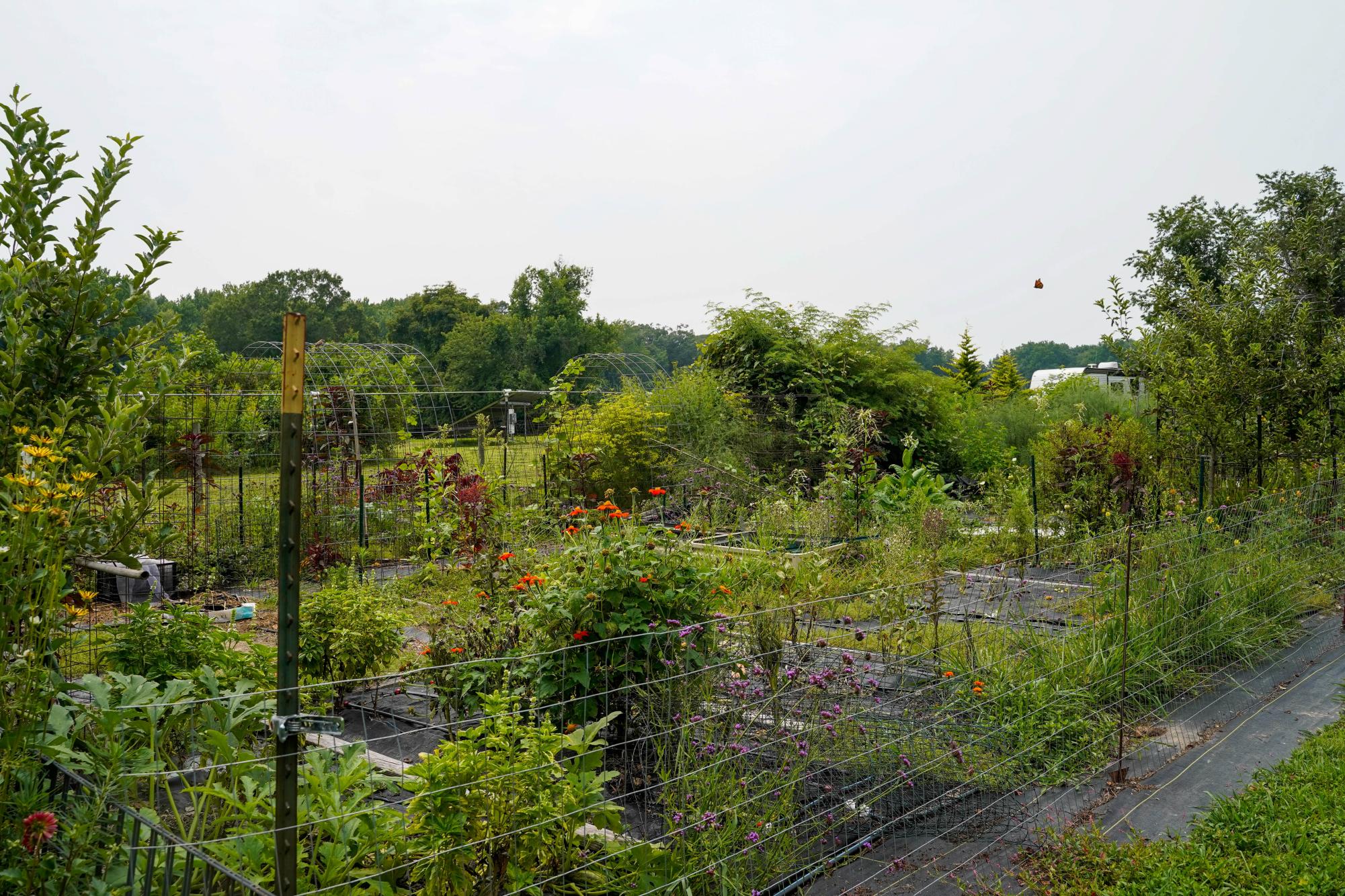 The program Worldwide Opportunities on Organic Farms (WWOOF) helps connect volunteers with local farmers.