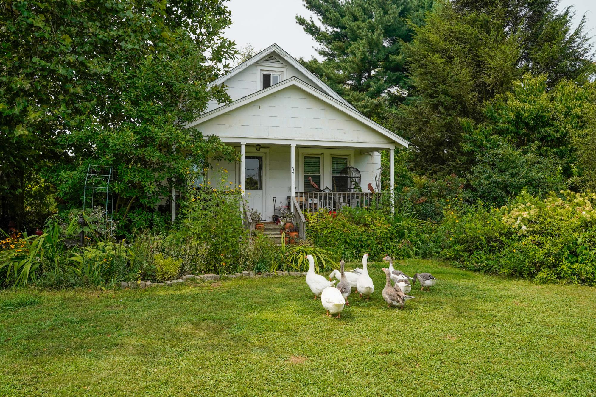 The program Worldwide Opportunities on Organic Farms (WWOOF) helps connect volunteers with local farmers.