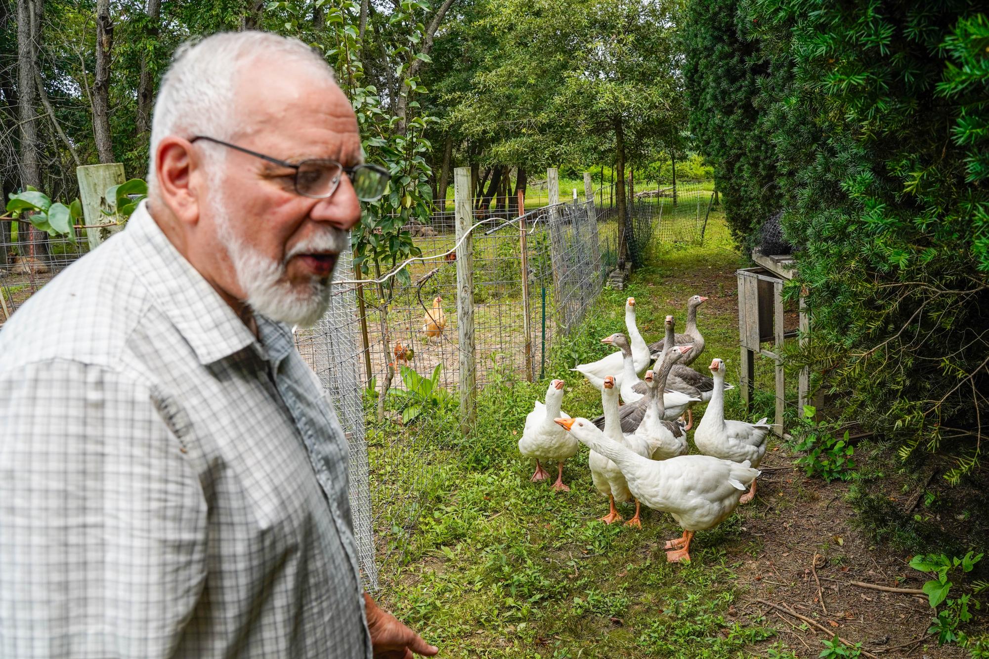 The program Worldwide Opportunities on Organic Farms (WWOOF) helps connect volunteers with local farmers.