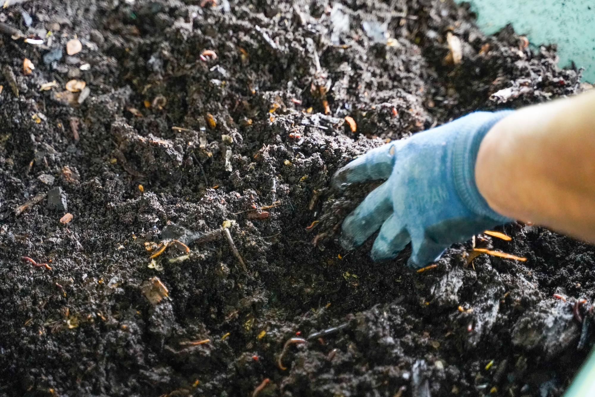 The program Worldwide Opportunities on Organic Farms (WWOOF) helps connect volunteers with local farmers.
