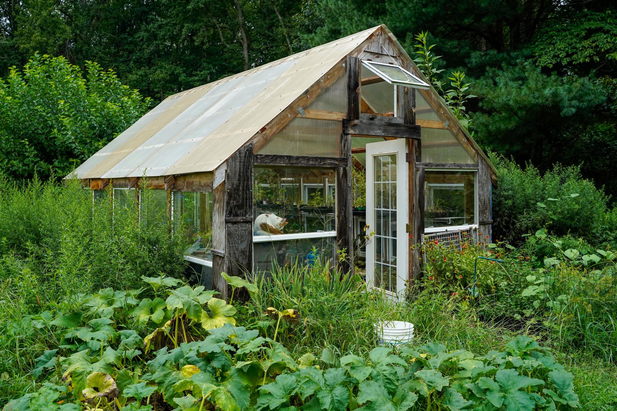 The program Worldwide Opportunities on Organic Farms (WWOOF) helps connect volunteers with local farmers.