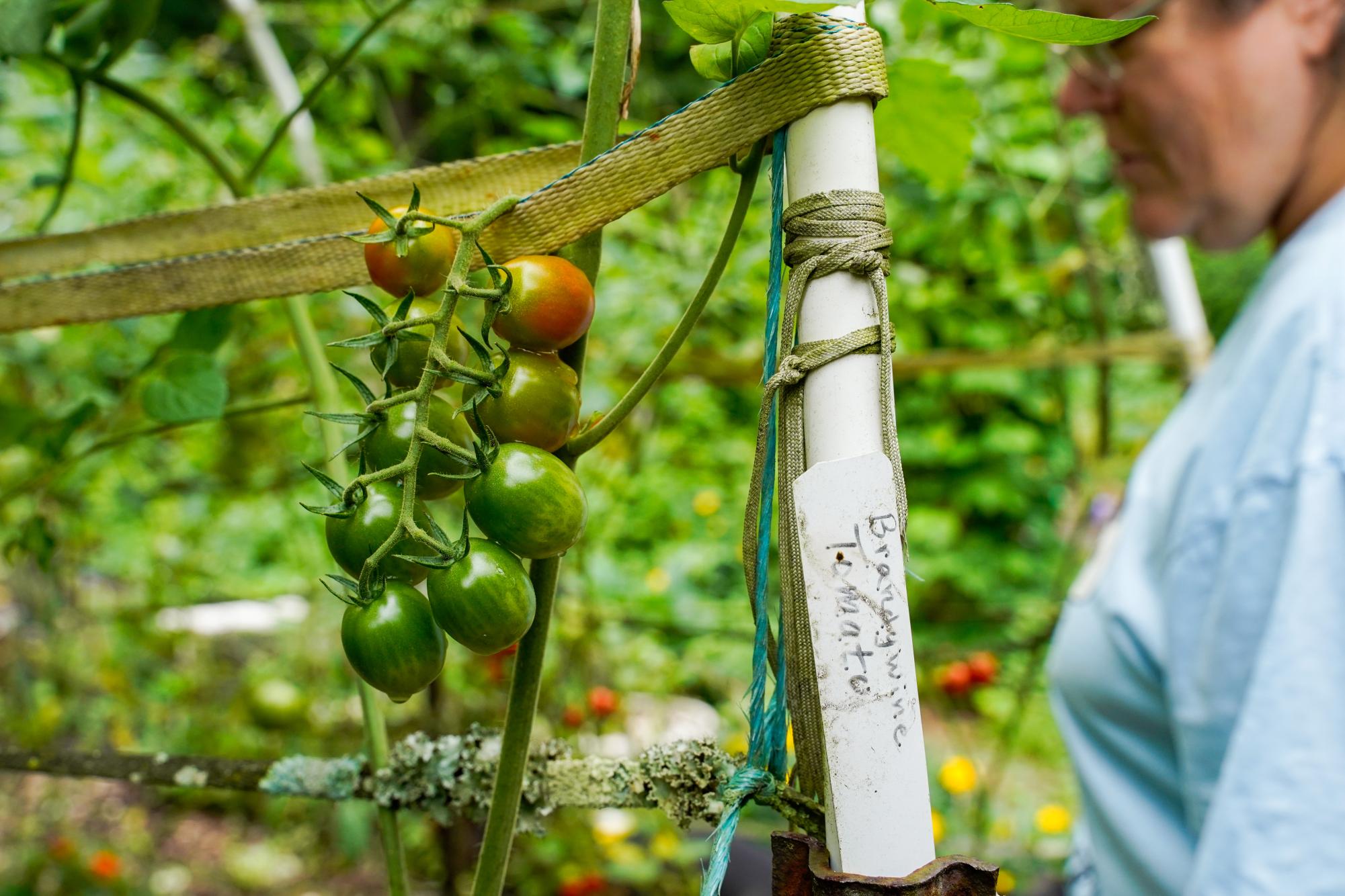 The program Worldwide Opportunities on Organic Farms (WWOOF) helps connect volunteers with local farmers.