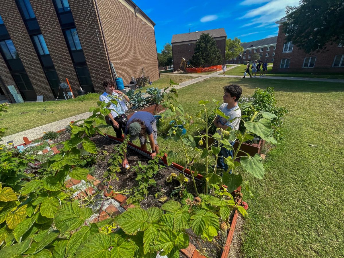From left to right: Peter Conbs, Kyle Mains, and Corrina Ricatti planting at REAL’s plant and sip event. Thursday, Sept. 11, 2025. Glassboro, NJ.