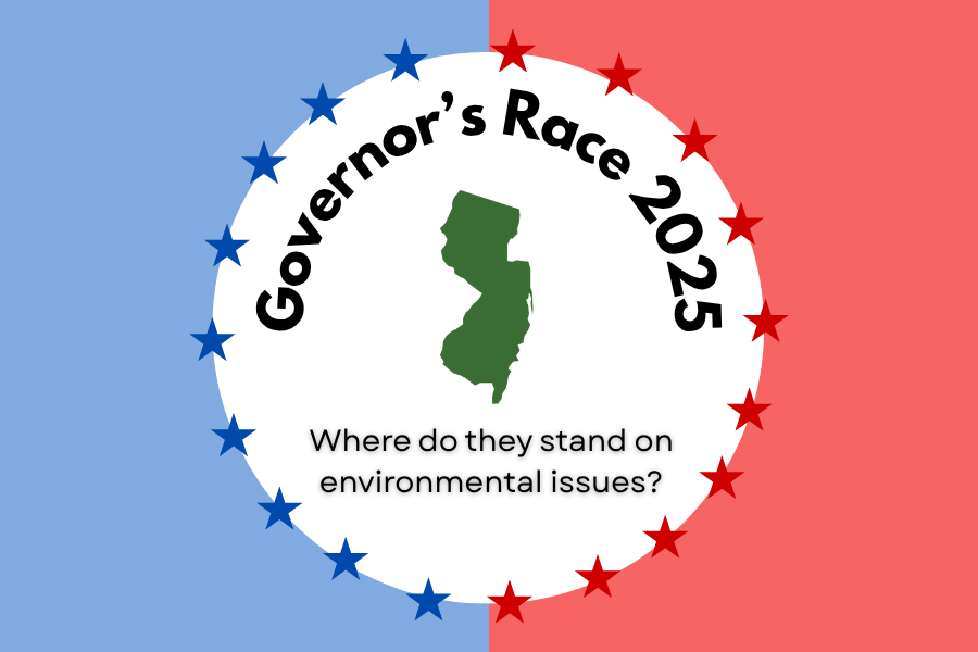 New Jersey Governor’s Race 2025 - Where do they stand on environmental issues?