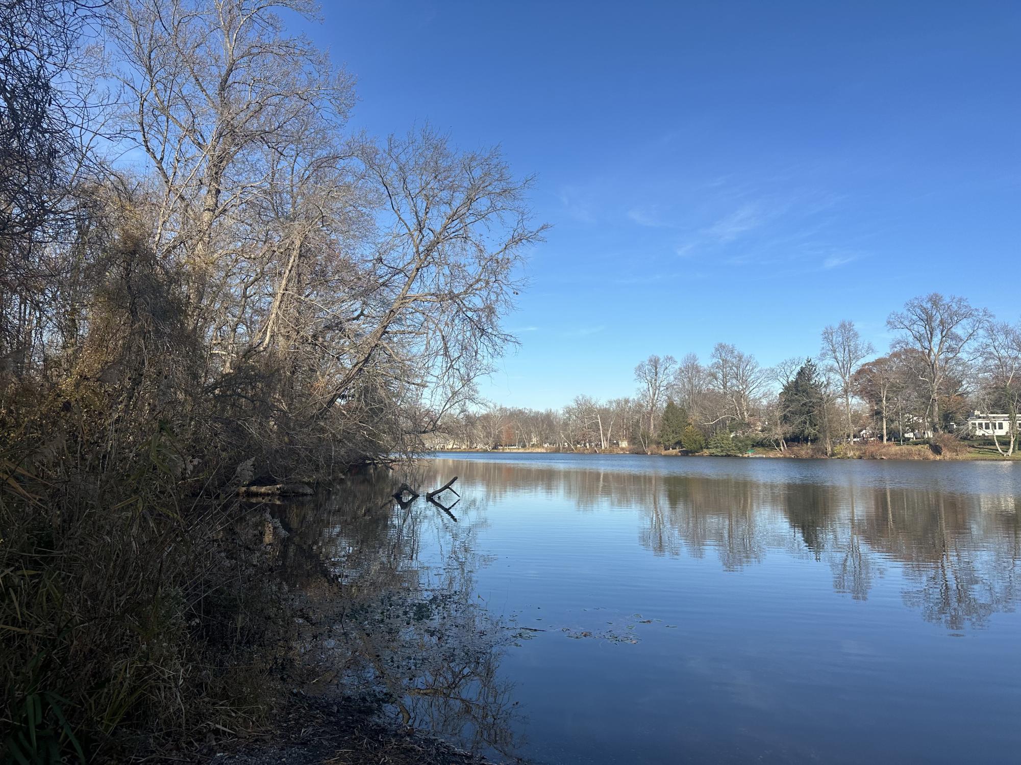 A nearly year-long effort to link Pitman’s parks via the new Hollywood Dell Trail is complete, and residents will get their first chance to walk the new network during a community hike.