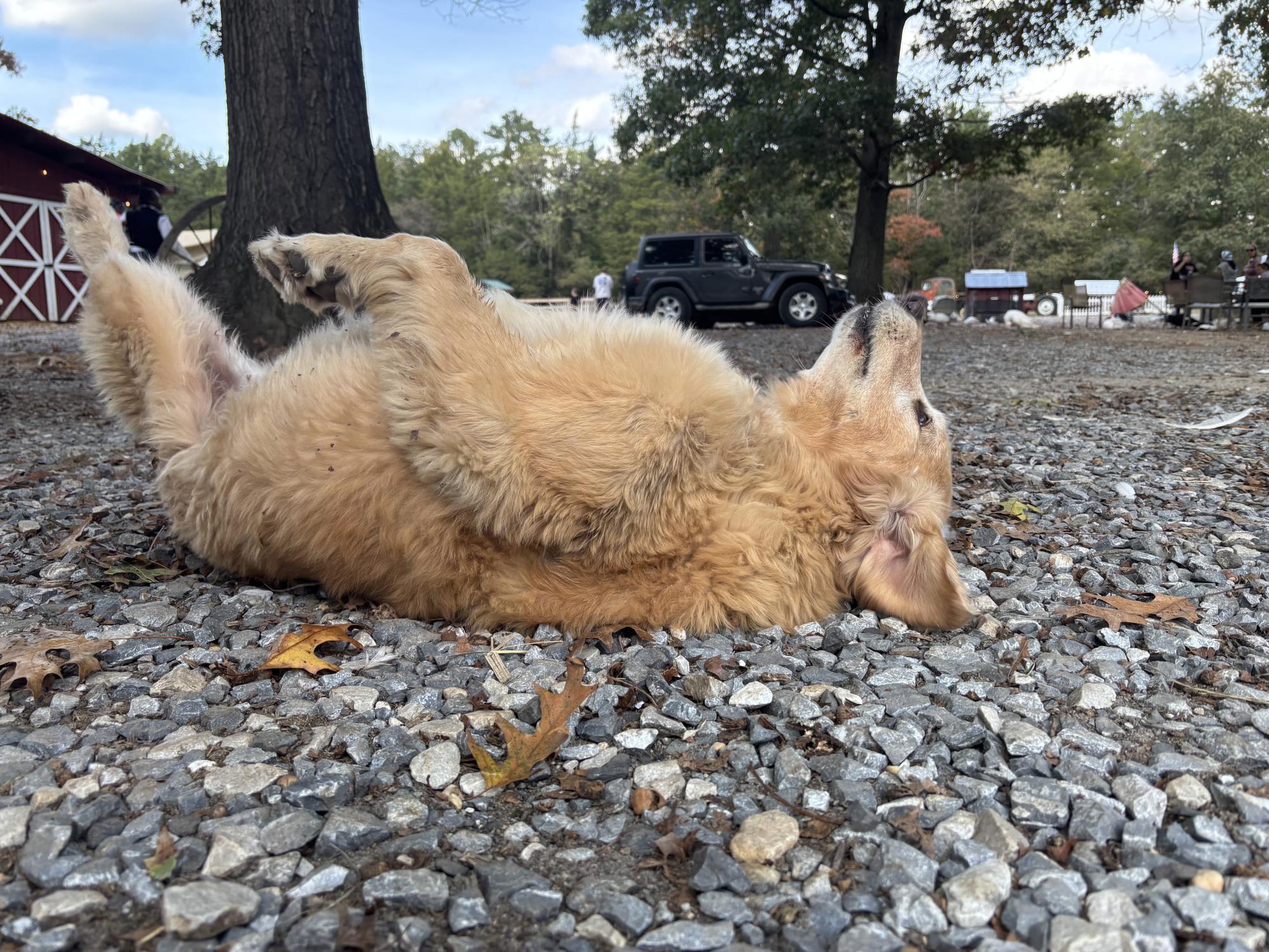 Laurie Zaleski started the May’s Landing animal sanctuary for her ailing mother. Today, it is home to over 750 animals, has inspired books and TV appearances, and welcomes visitors from around the world.