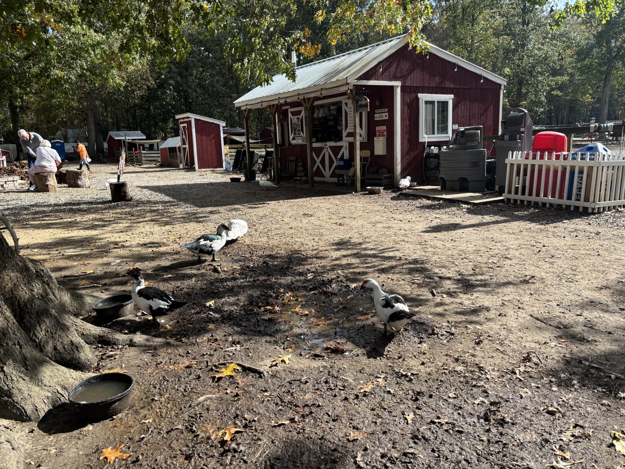 Laurie Zaleski started the May’s Landing animal sanctuary for her ailing mother. Today, it is home to over 750 animals, has inspired books and TV appearances, and welcomes visitors from around the world.