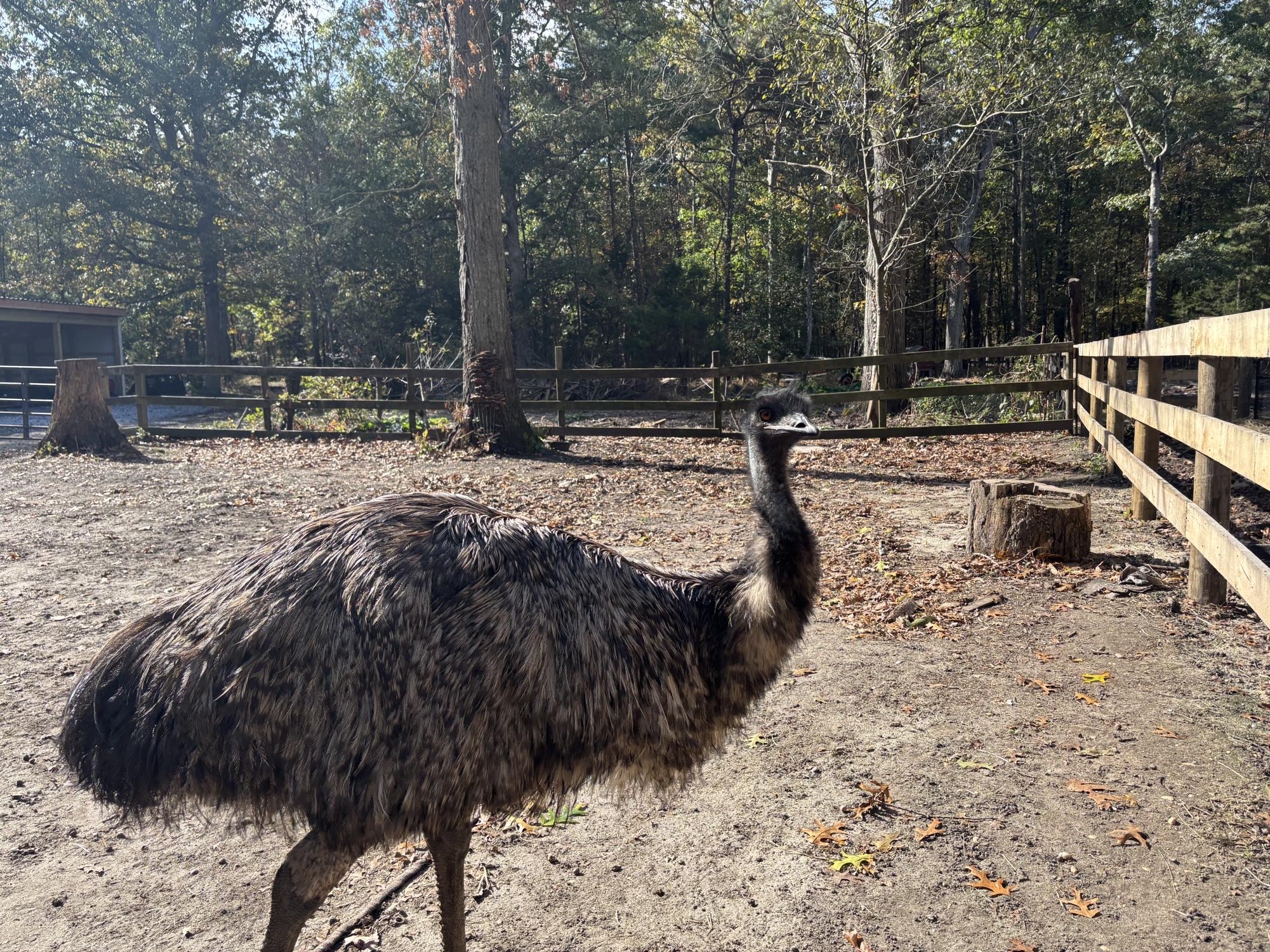 Laurie Zaleski started the May’s Landing animal sanctuary for her ailing mother. Today, it is home to over 750 animals, has inspired books and TV appearances, and welcomes visitors from around the world.