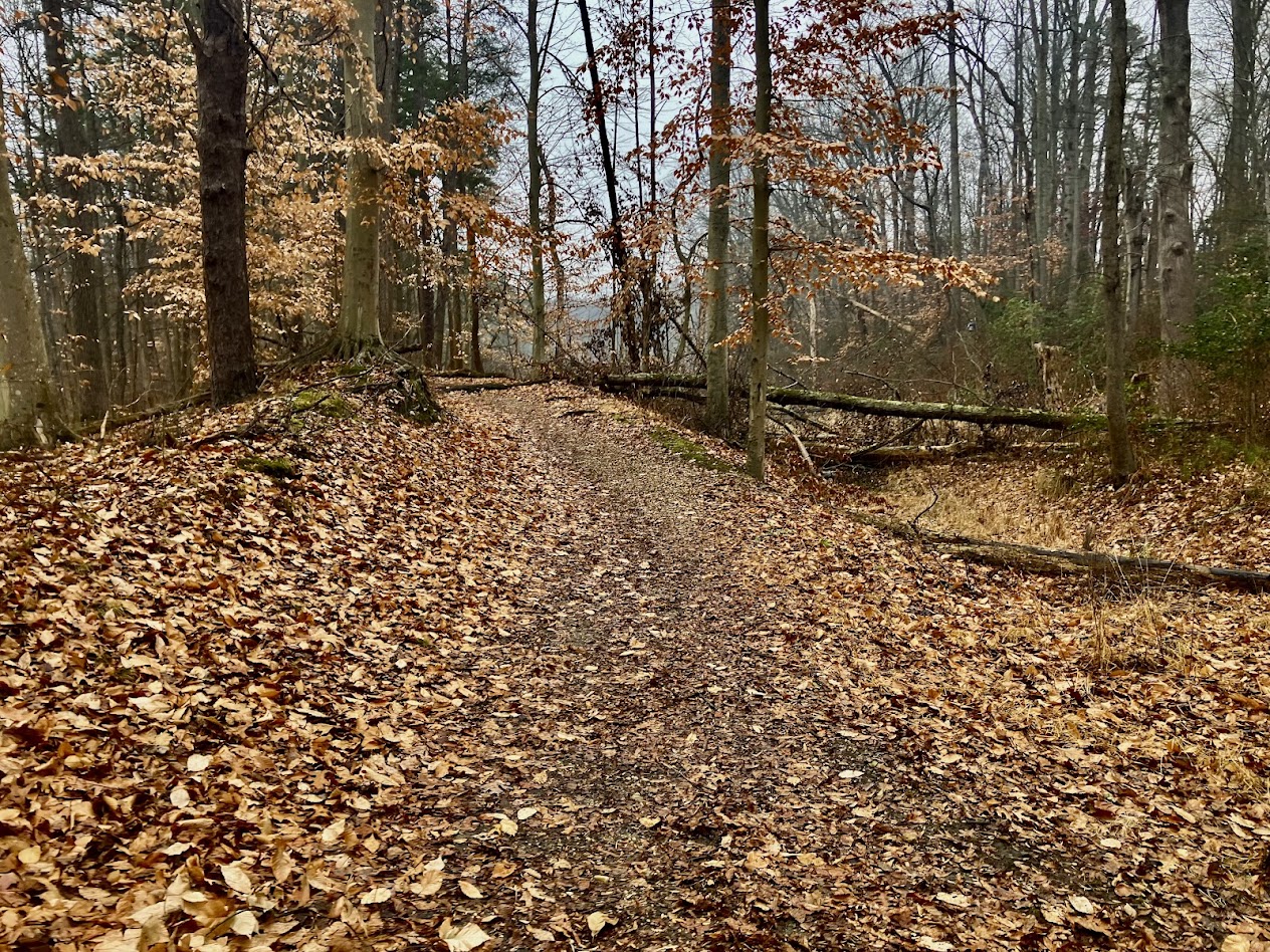 Community Hike in Pitman