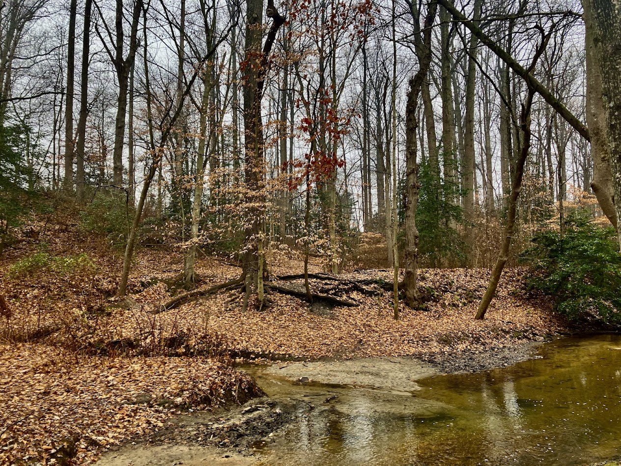 Community Hike in Pitman