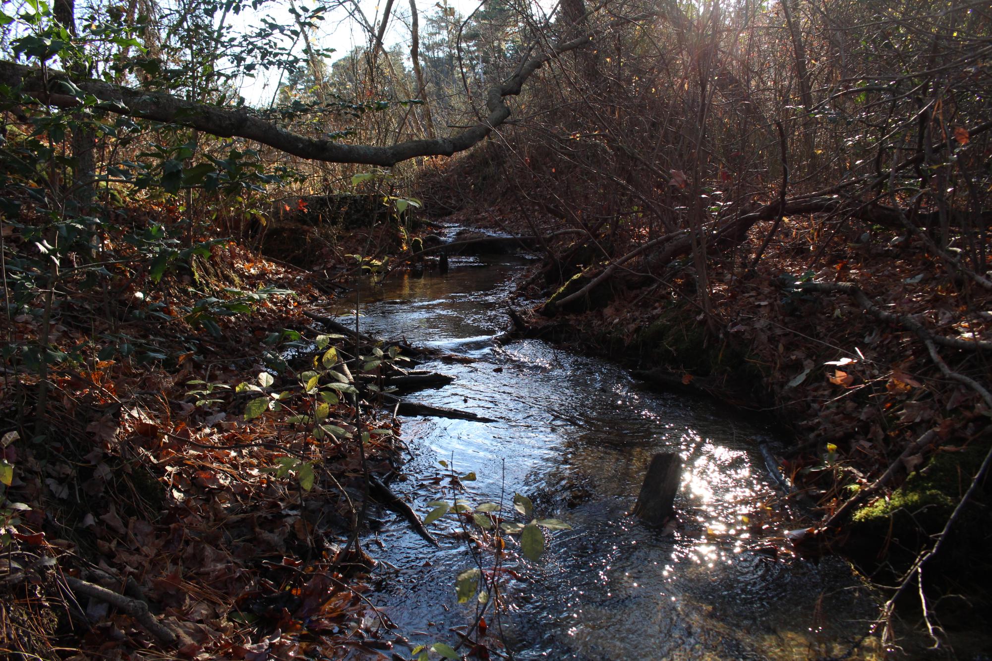 Black Run Preserve
