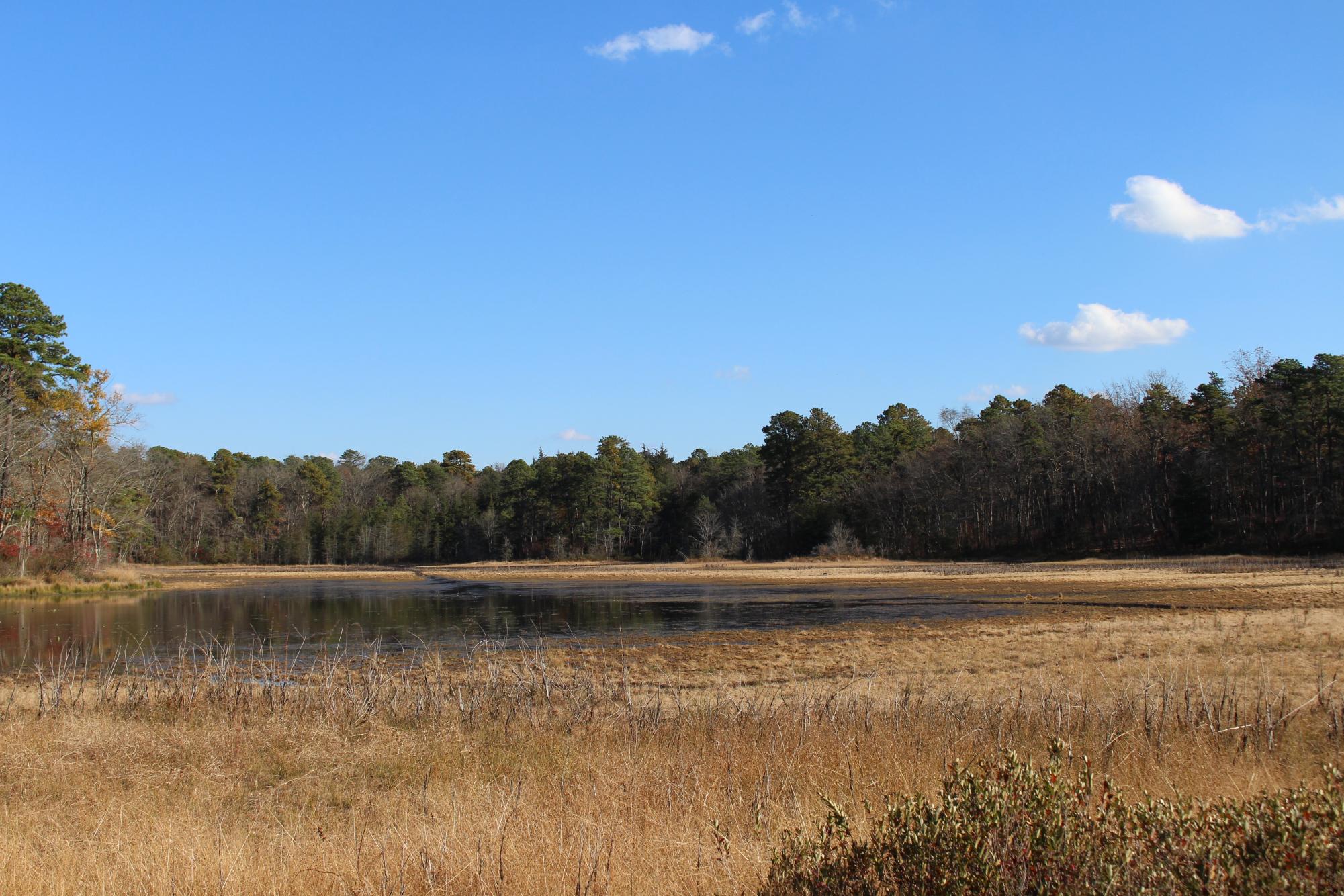 Black Run Preserve