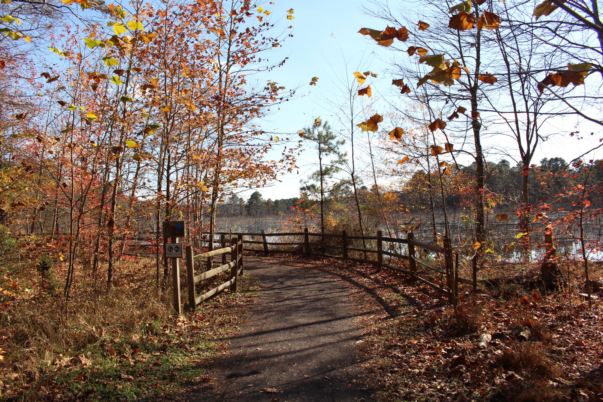 Black Run Preserve