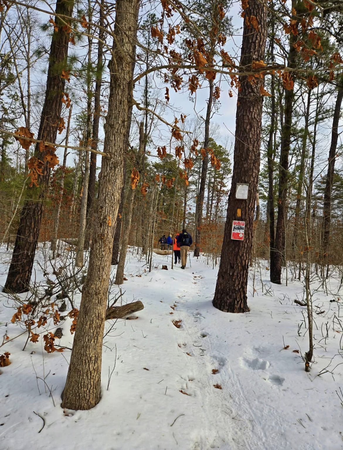 The Mullica River Trail