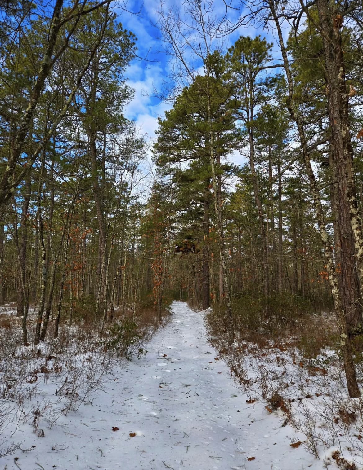 The Mullica River Trail
