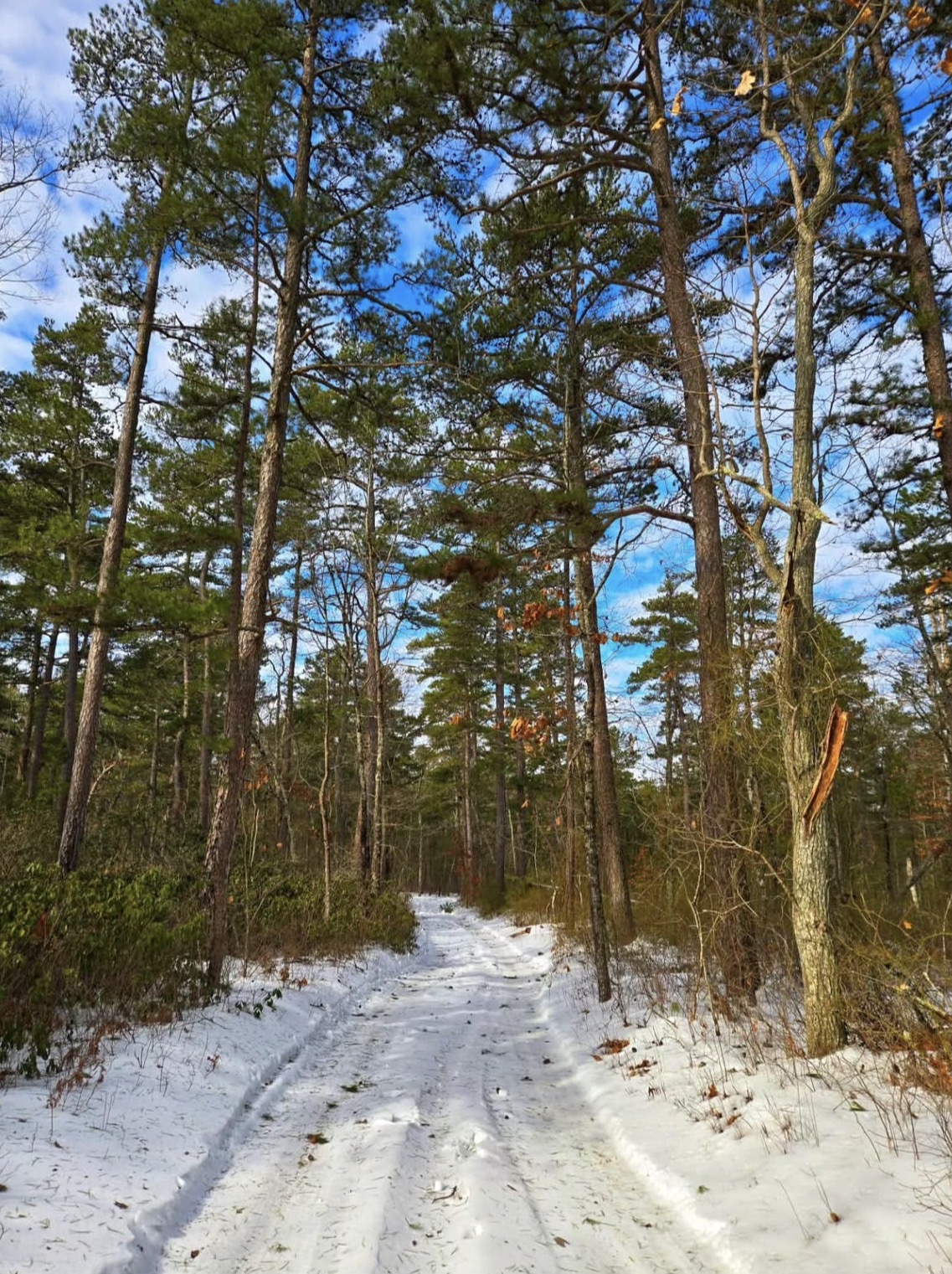 The Mullica River Trail