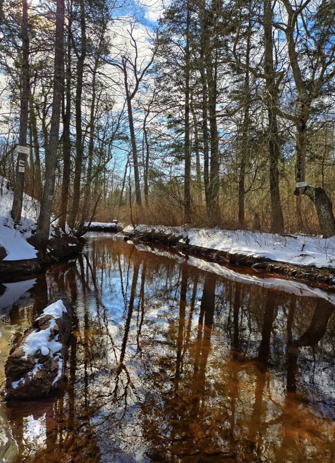 The Mullica River Trail
