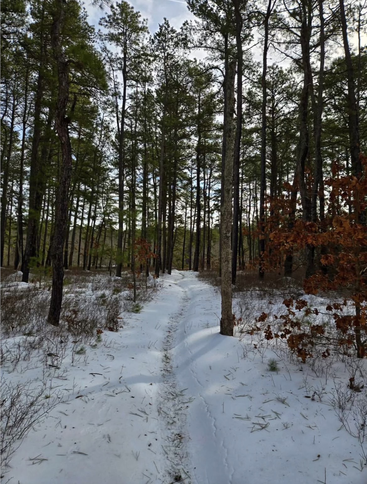 The Mullica River Trail