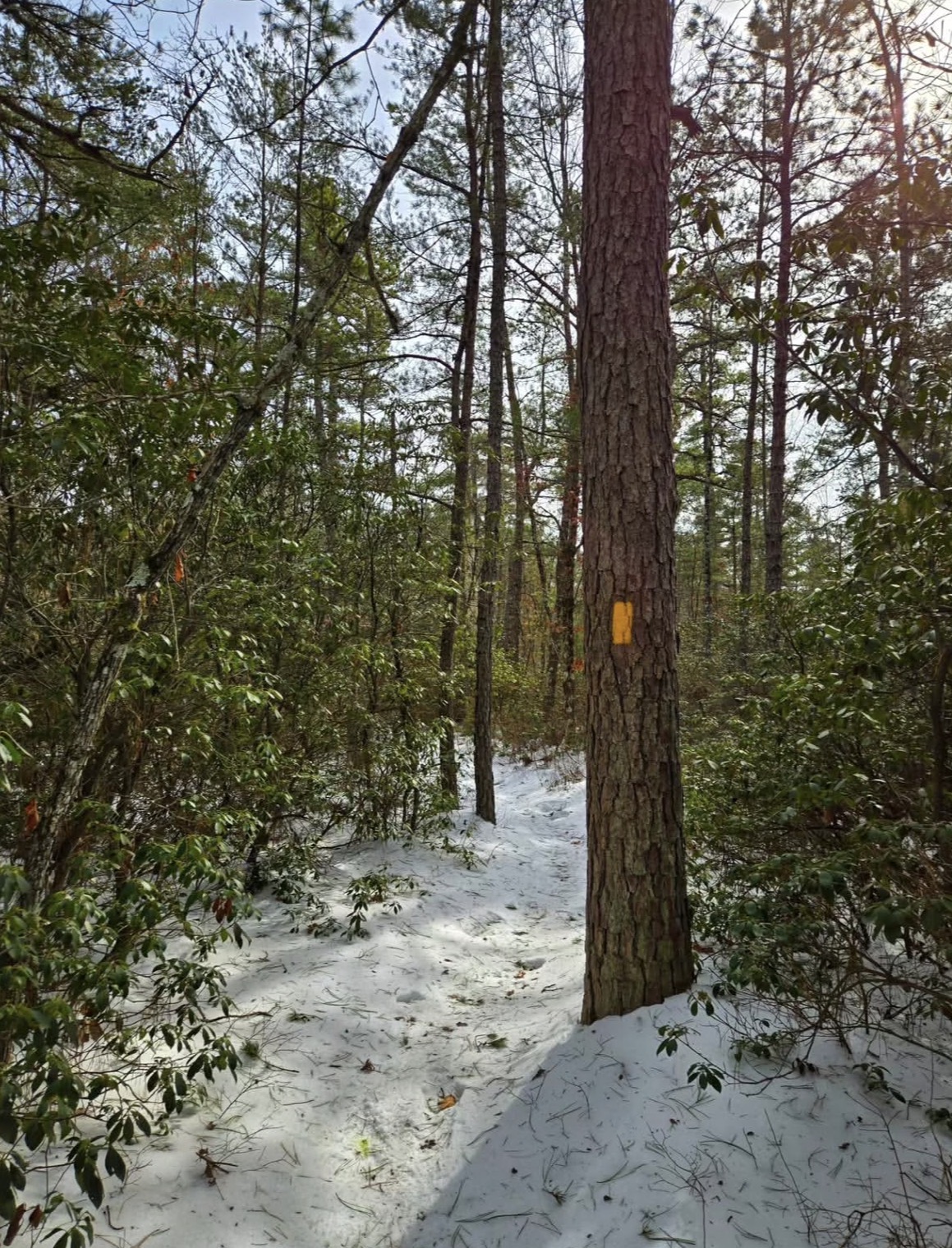 The Mullica River Trail